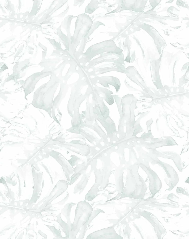 Peel and stick wallpaper featuring a repeating pattern of hand-painted monstera leaves in a muted sage green and pale grey on a soft white background. The botanical design has a loose, organic watercolor quality with visible brushstroke texture.