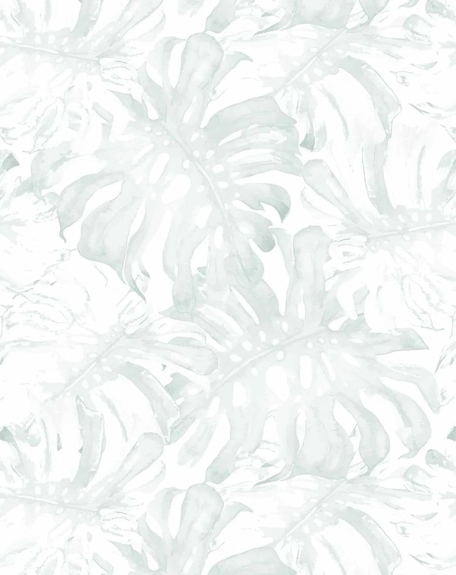 Peel and stick wallpaper featuring a repeating pattern of hand-painted monstera leaves in a muted sage green and pale grey on a soft white background. The botanical design has a loose, organic watercolor quality with visible brushstroke texture.