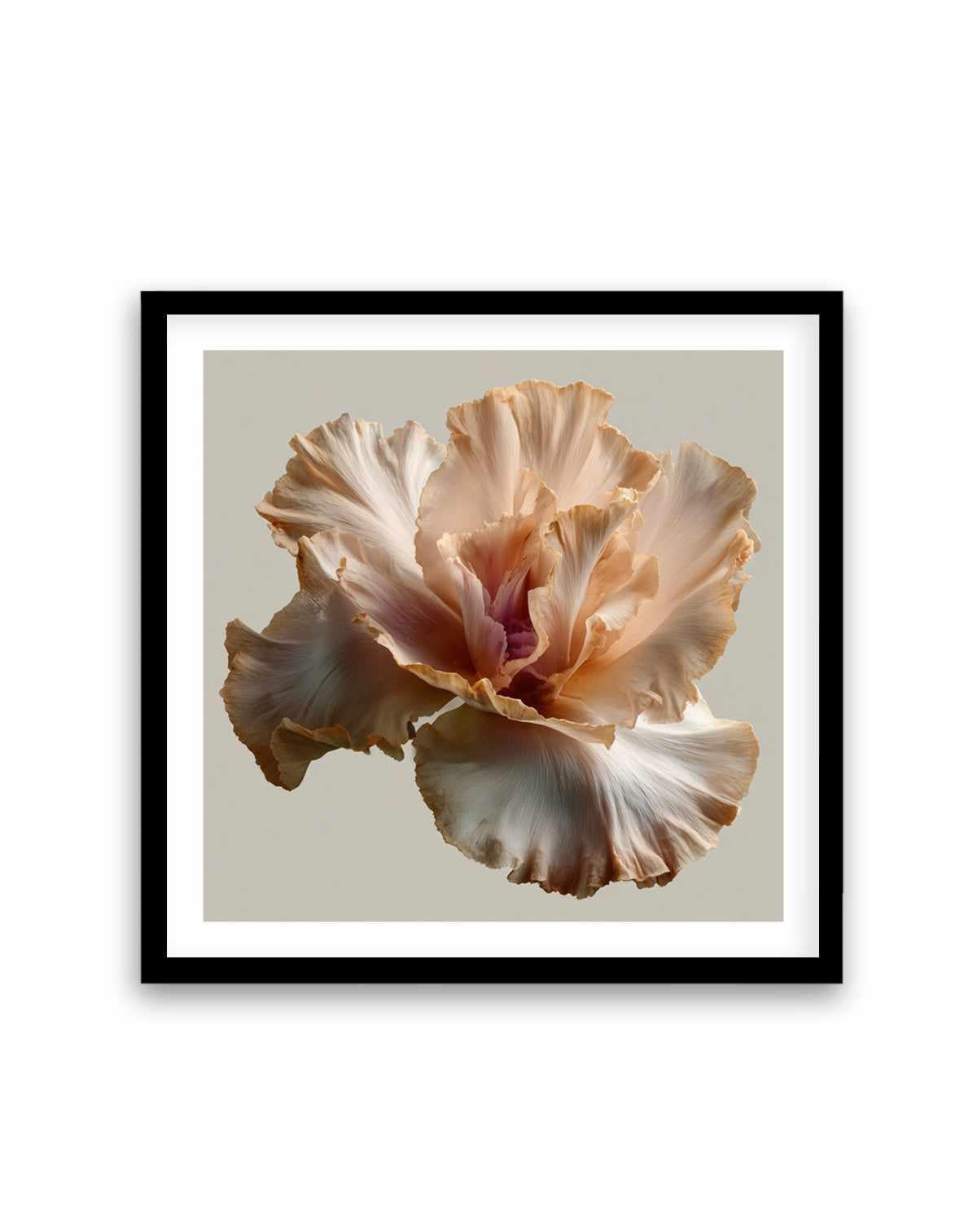 Salt Bloom I | Art Print from Olive et Oriel where you can shop wallpaper and artworks online
