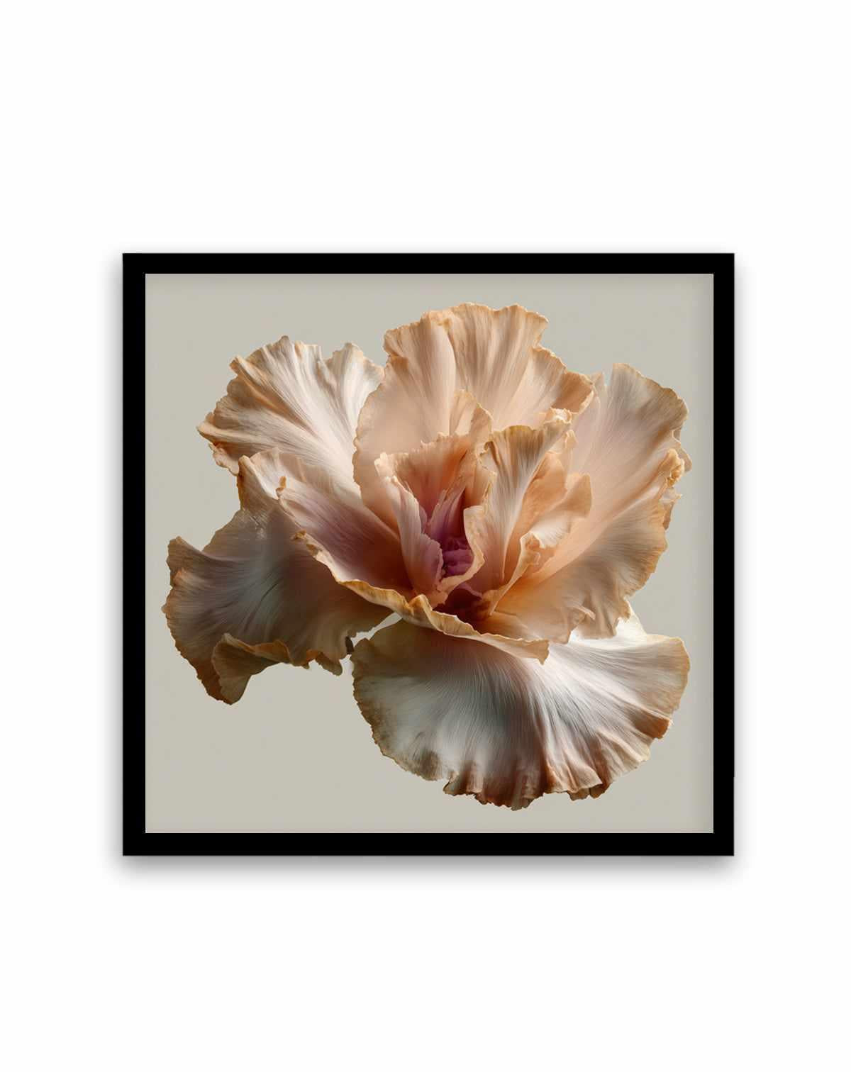 Salt Bloom I | Art Print from Olive et Oriel where you can shop wallpaper and artworks online