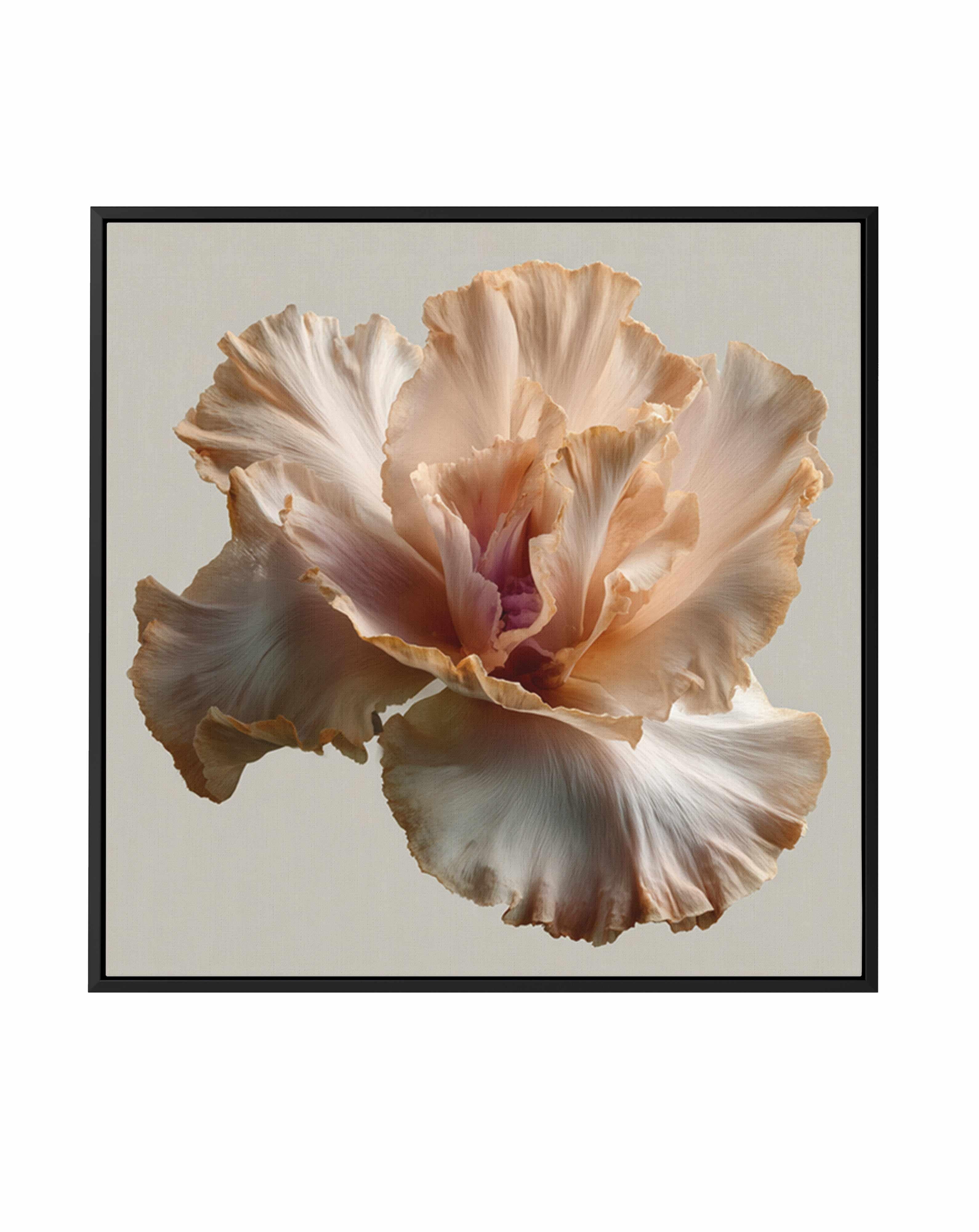 Salt Bloom I | Framed Canvas Art Print from Olive et Oriel where you can shop wallpaper and artworks online