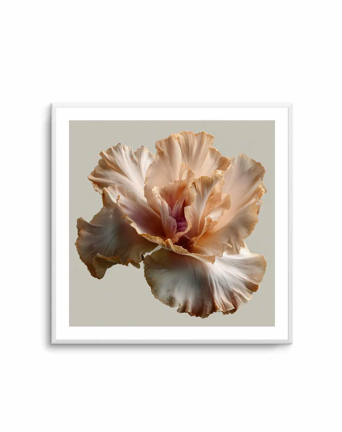 Salt Bloom I | Art Print from Olive et Oriel where you can shop wallpaper and artworks online