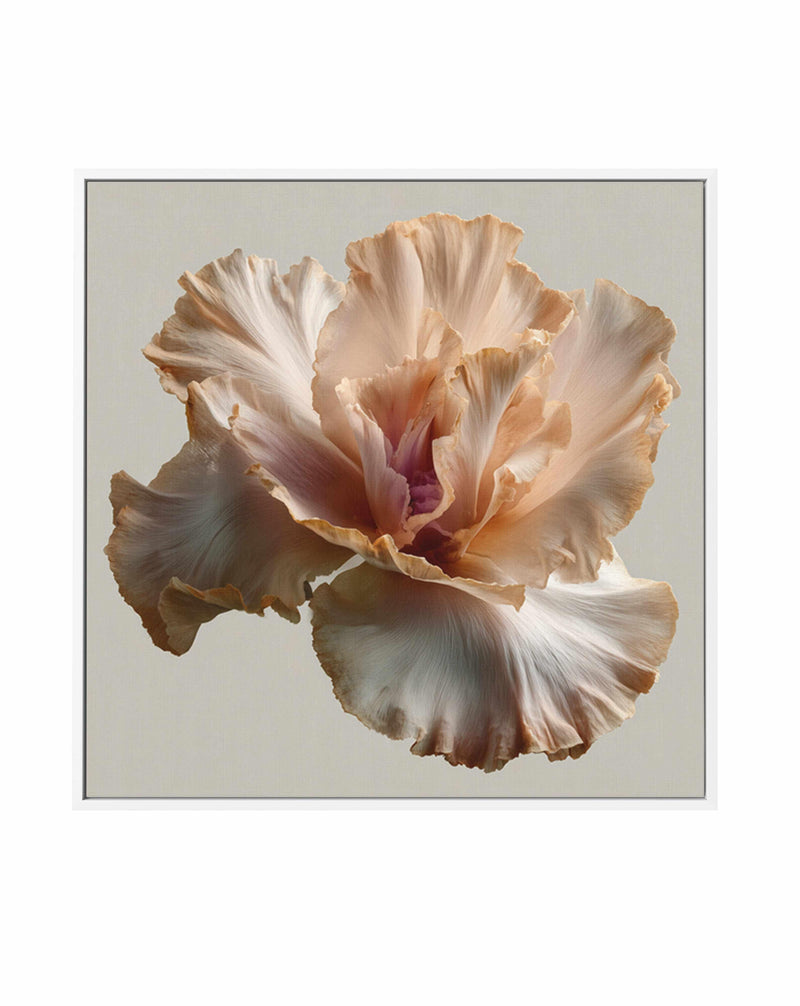 Salt Bloom I | Framed Canvas Art Print from Olive et Oriel where you can shop wallpaper and artworks online