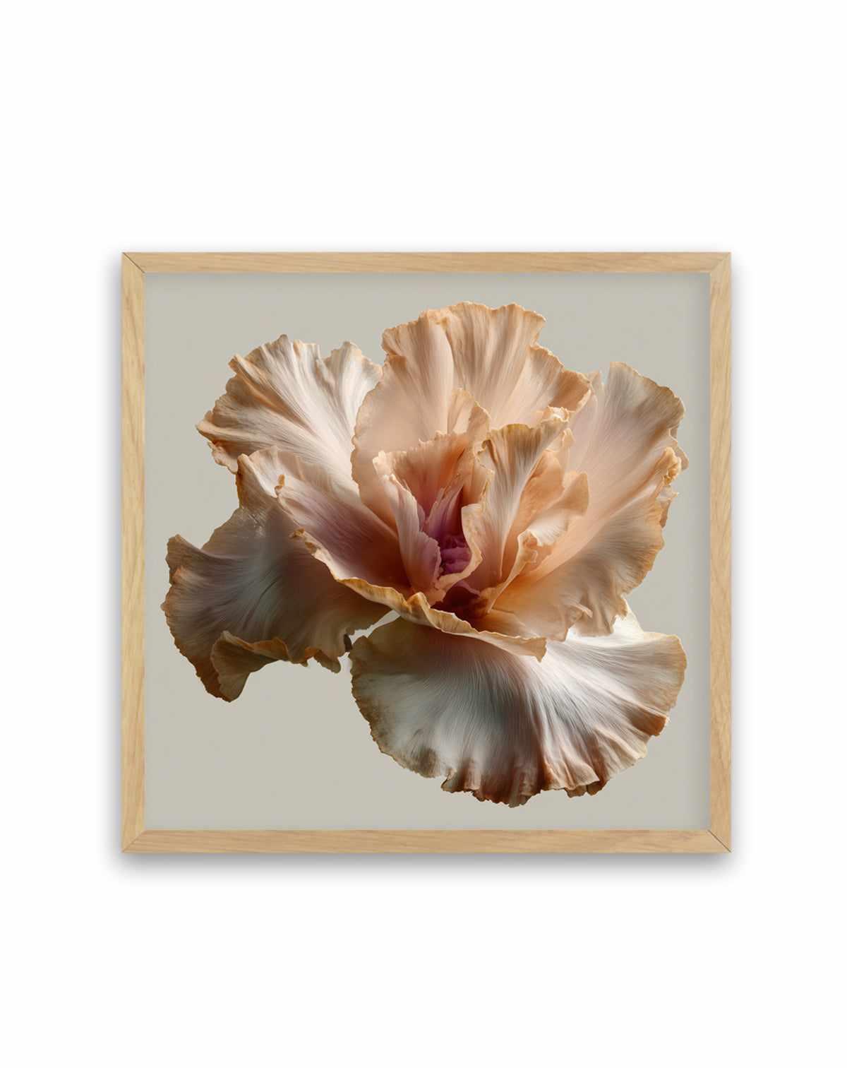 Salt Bloom I | Art Print from Olive et Oriel where you can shop wallpaper and artworks online