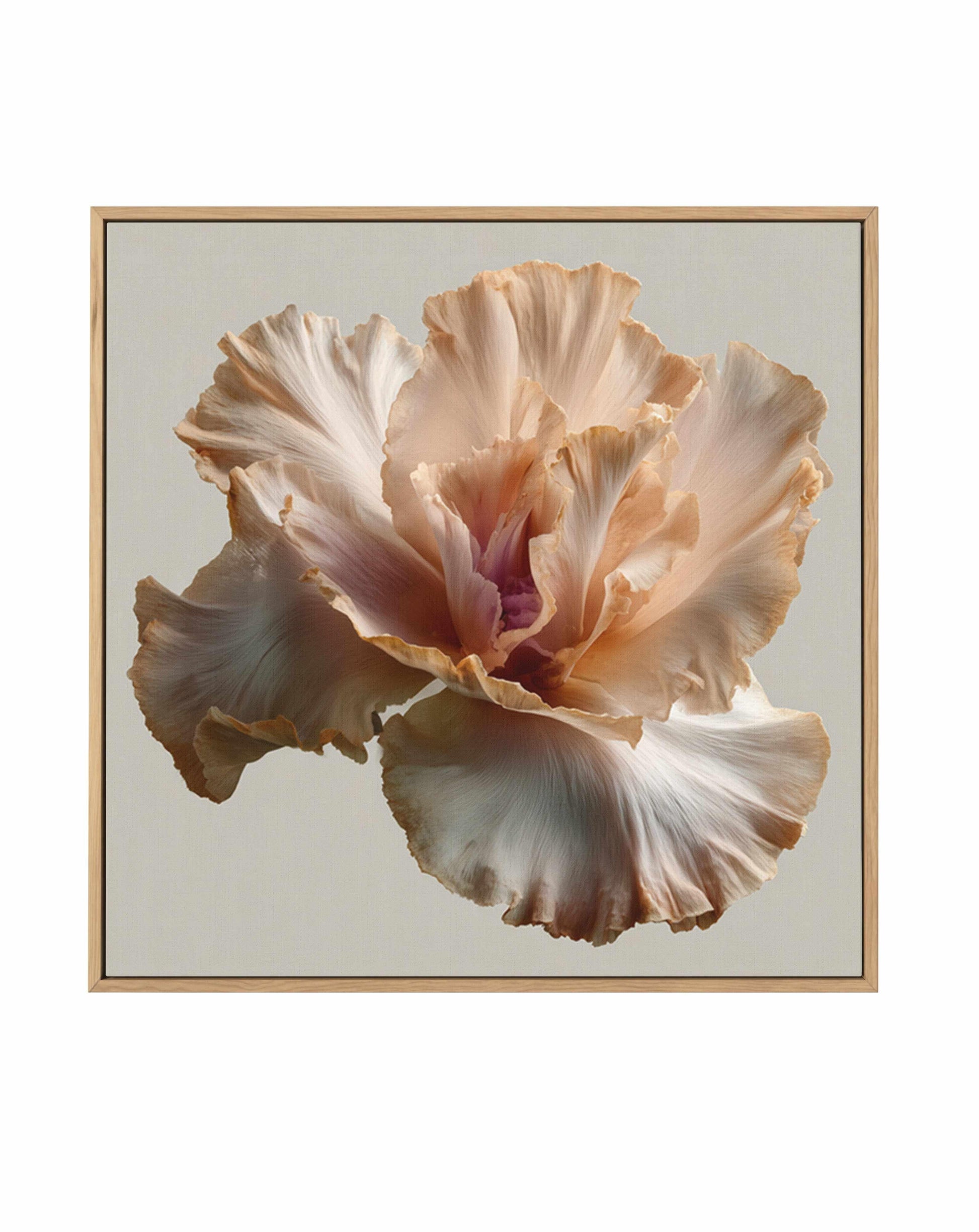 Salt Bloom I | Framed Canvas Art Print from Olive et Oriel where you can shop wallpaper and artworks online