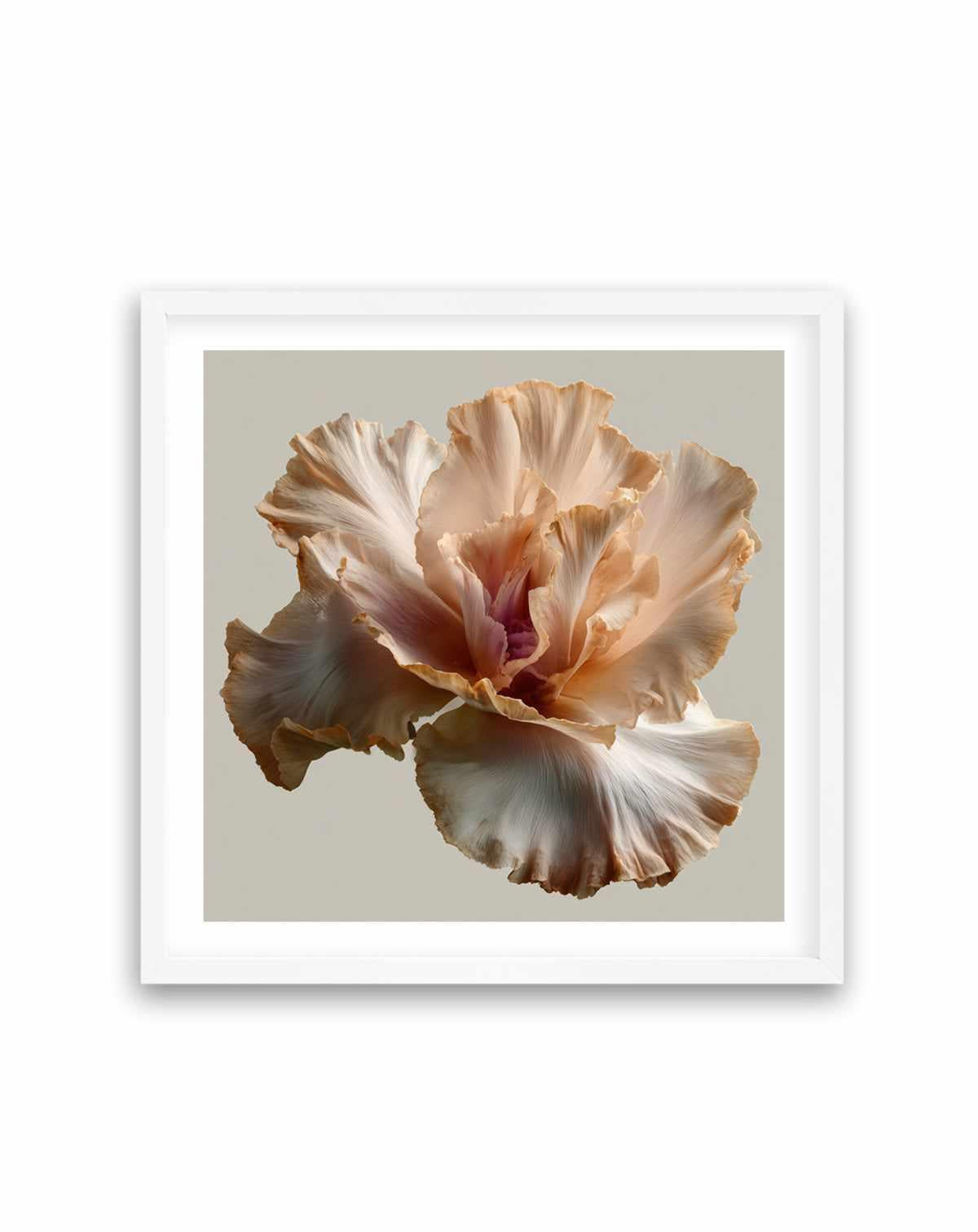 Salt Bloom I | Art Print from Olive et Oriel where you can shop wallpaper and artworks online