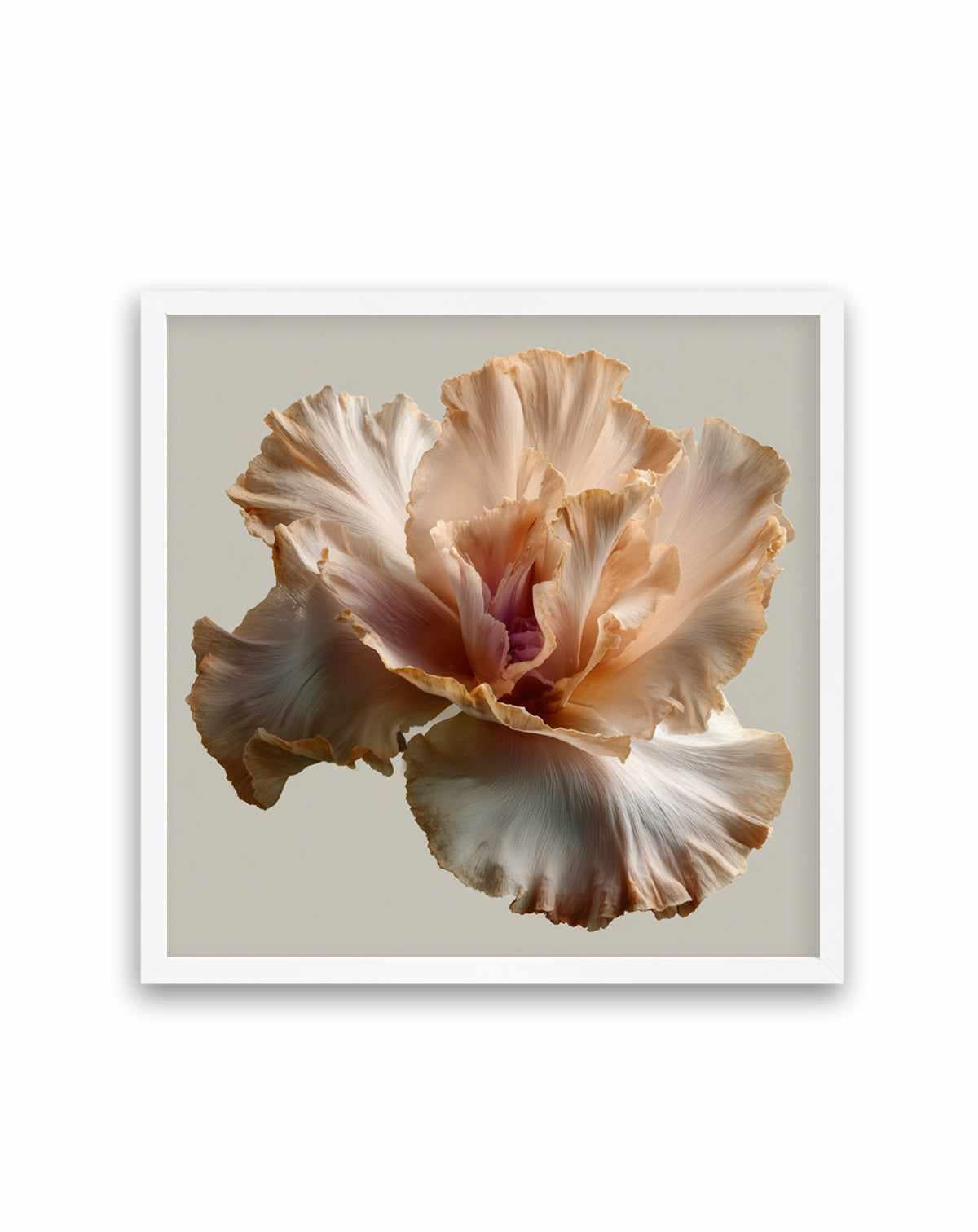 Salt Bloom I | Art Print from Olive et Oriel where you can shop wallpaper and artworks online