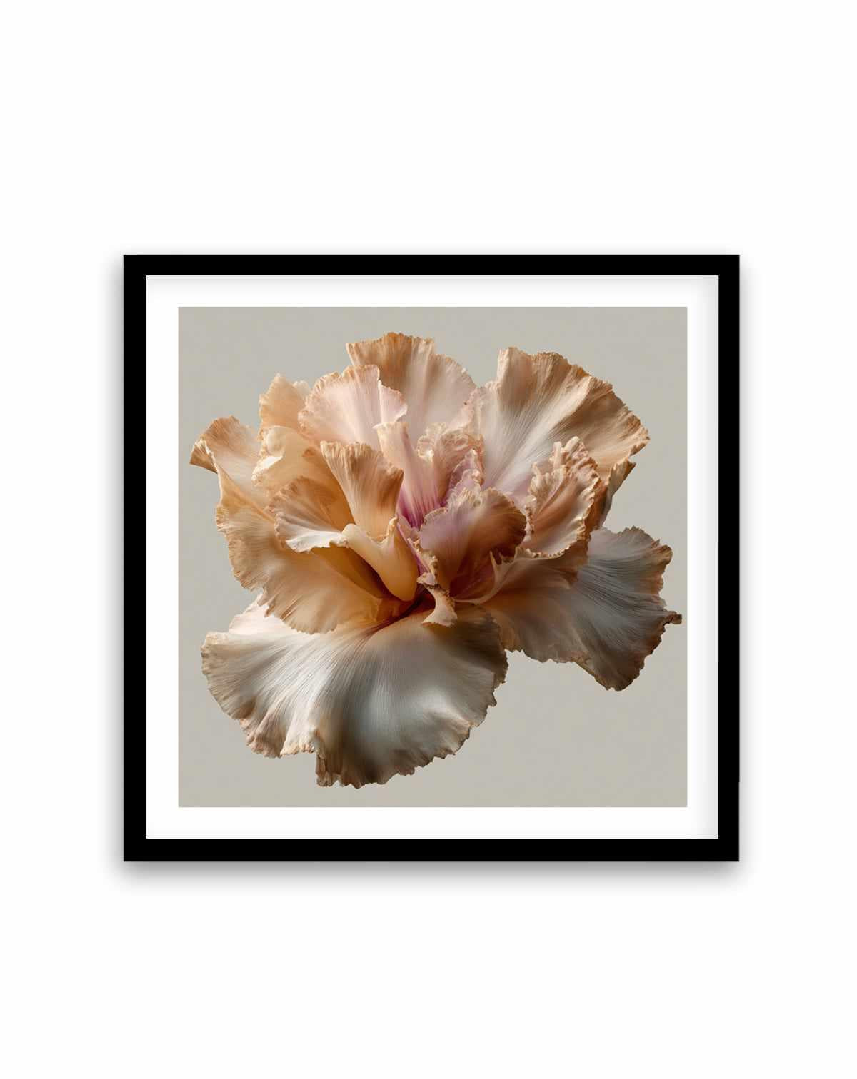 Salt Bloom II | Art Print from Olive et Oriel where you can shop wallpaper and artworks online