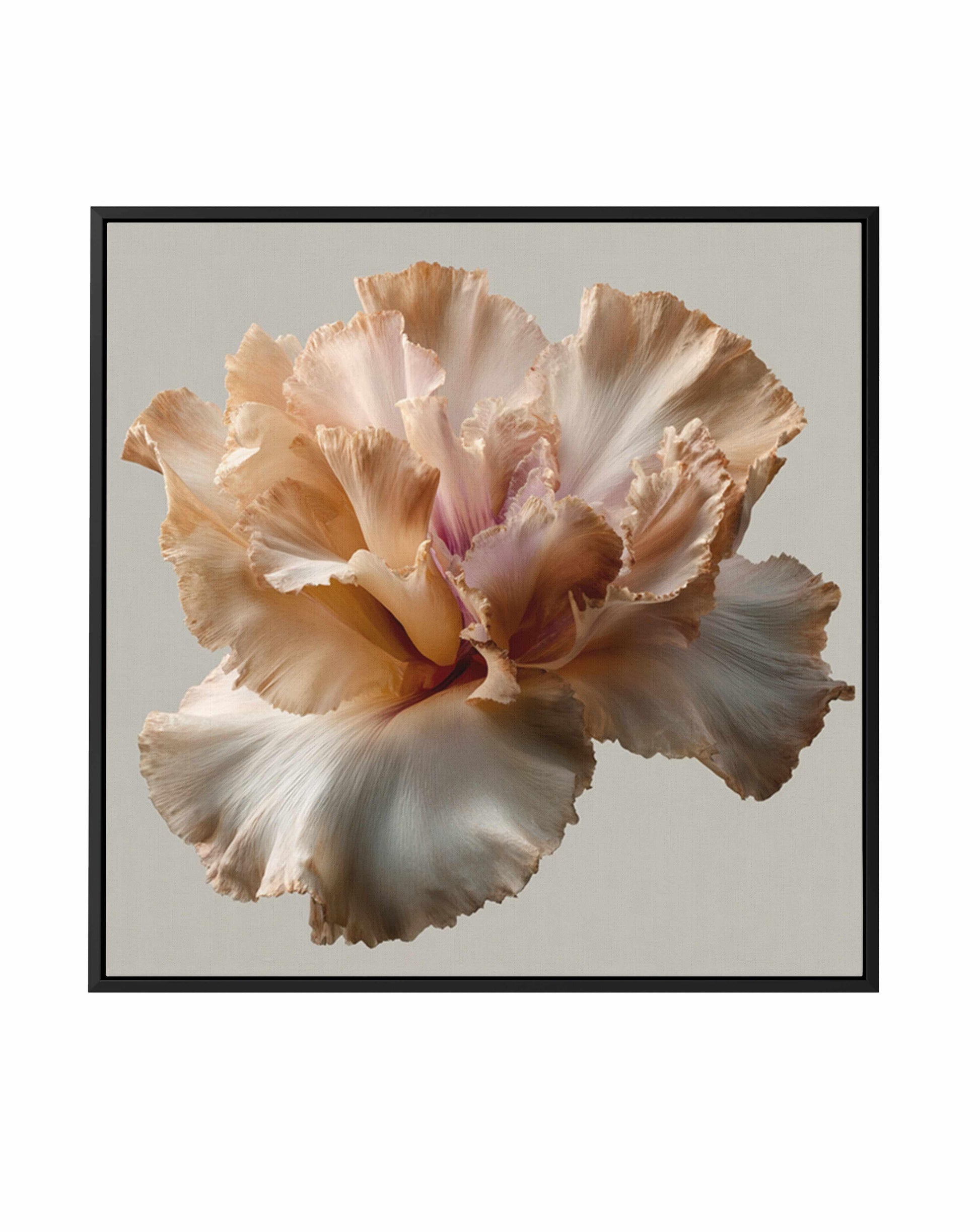 Salt Bloom II | Framed Canvas Art Print from Olive et Oriel where you can shop wallpaper and artworks online