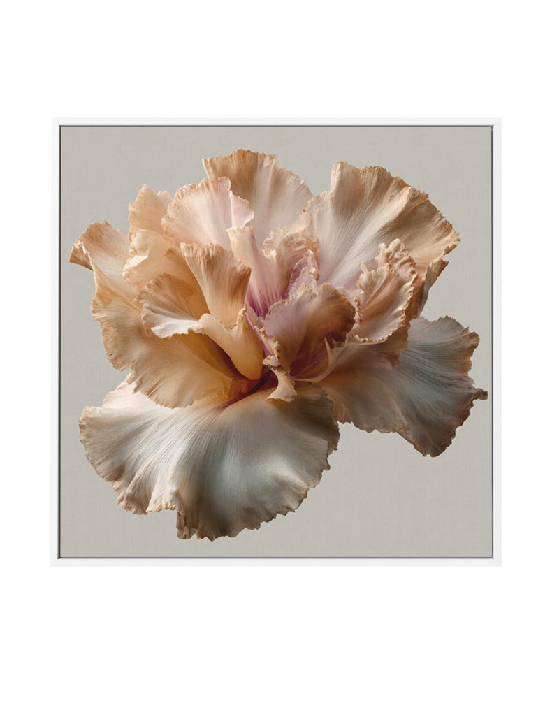 Salt Bloom II | Framed Canvas Art Print from Olive et Oriel where you can shop wallpaper and artworks online