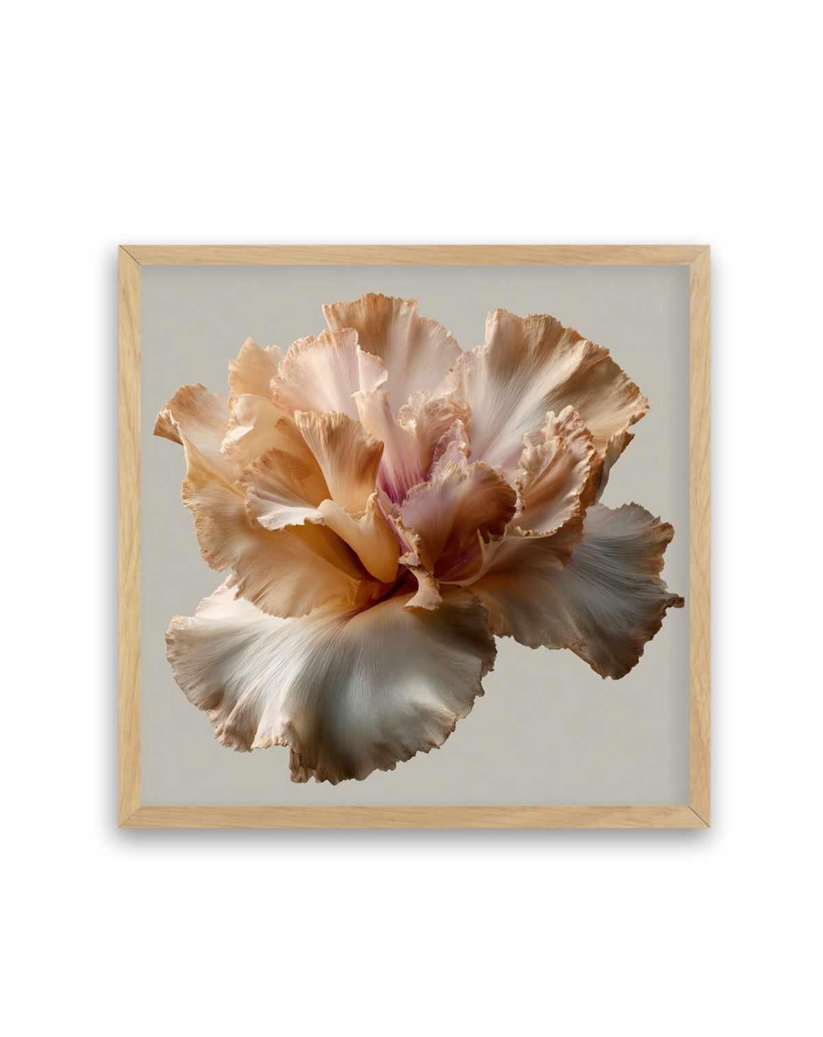 Salt Bloom II | Art Print from Olive et Oriel where you can shop wallpaper and artworks online
