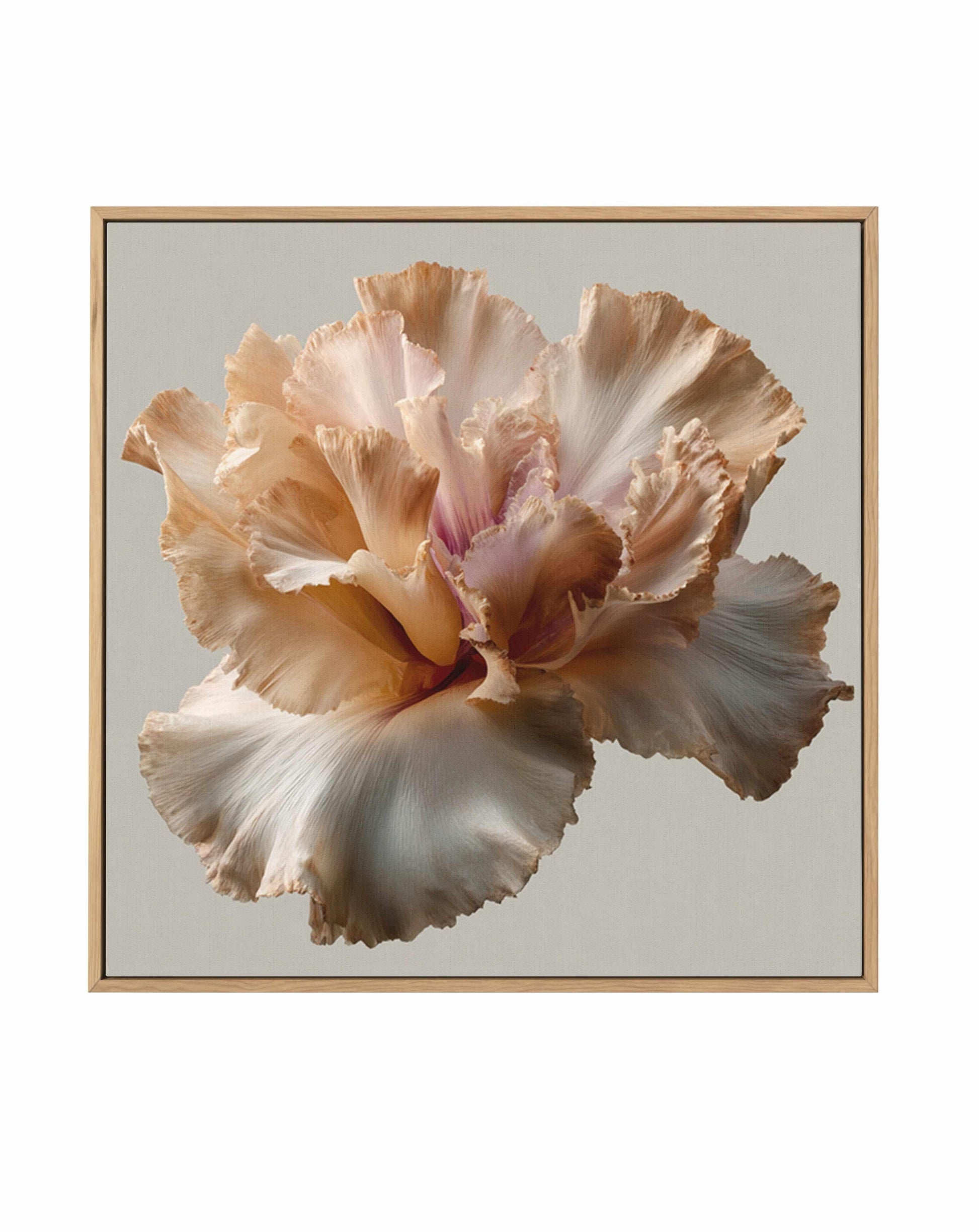 Salt Bloom II | Framed Canvas Art Print from Olive et Oriel where you can shop wallpaper and artworks online