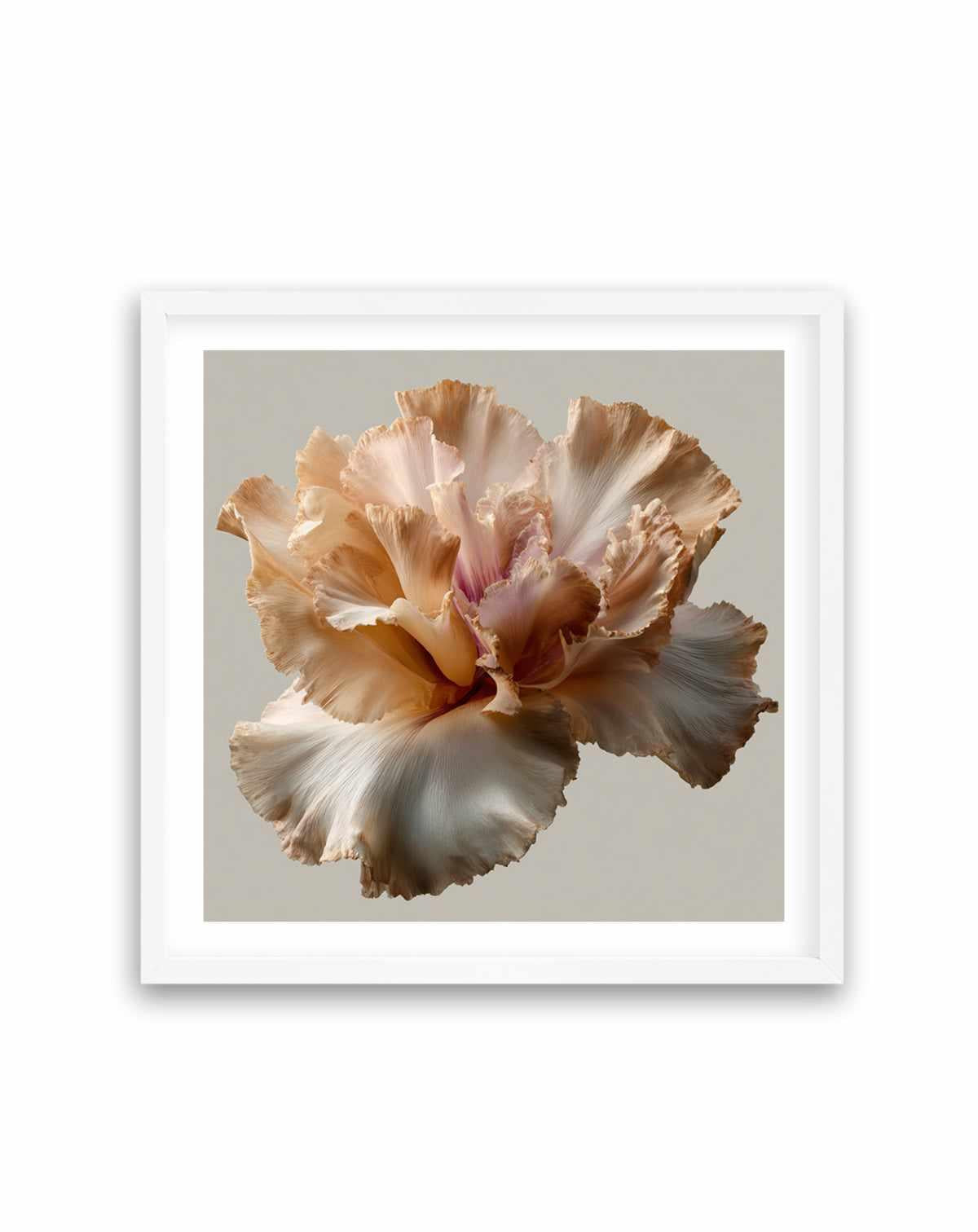 Salt Bloom II | Art Print from Olive et Oriel where you can shop wallpaper and artworks online