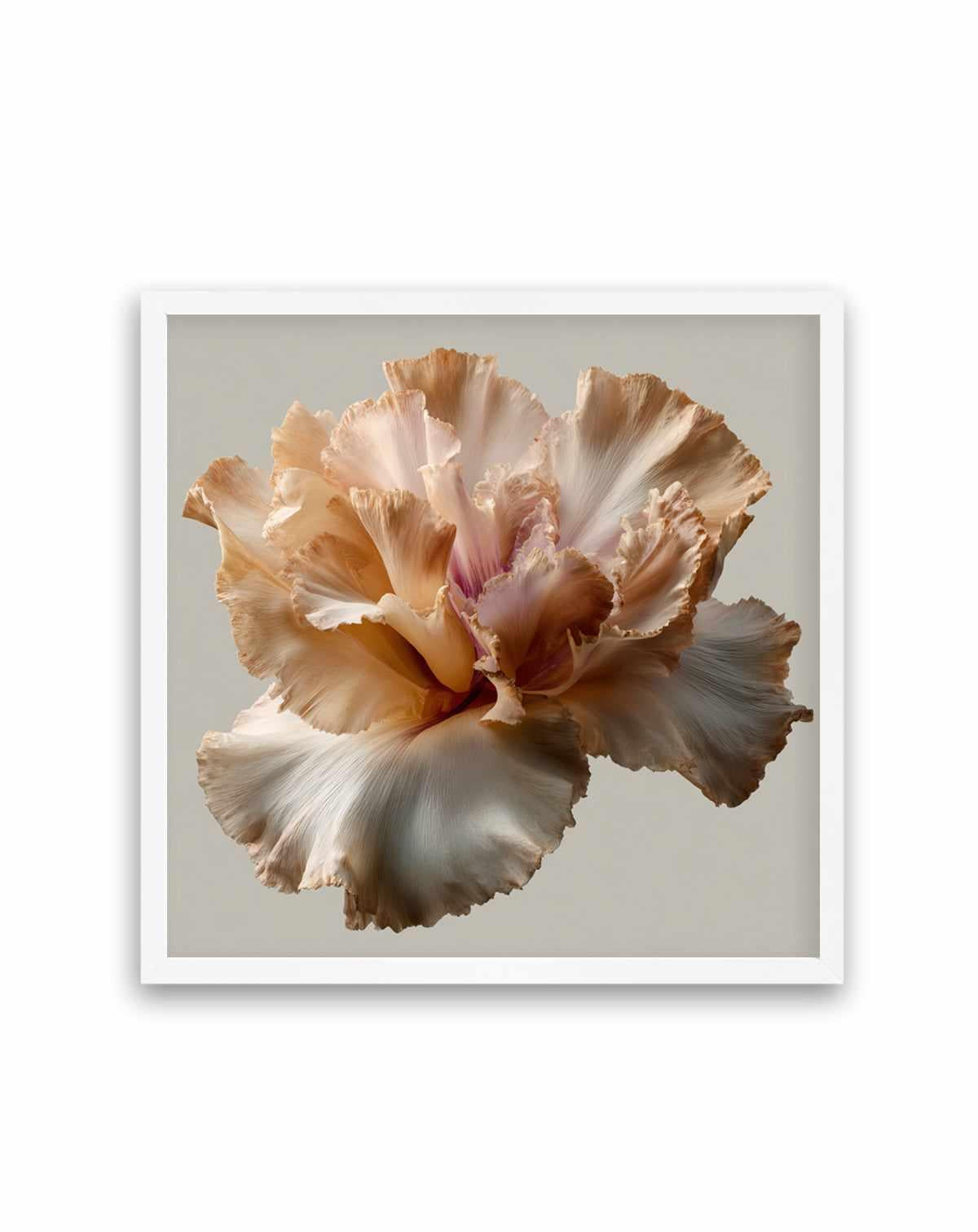 Salt Bloom II | Art Print from Olive et Oriel where you can shop wallpaper and artworks online