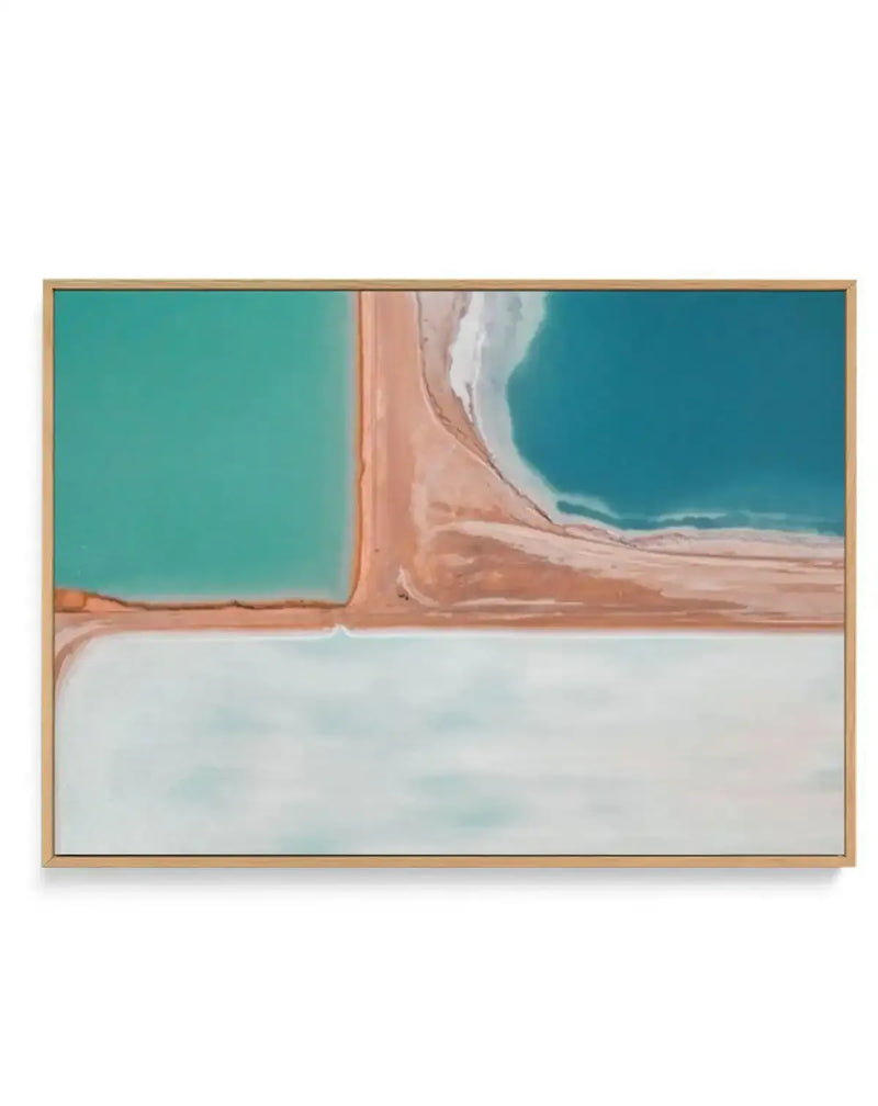 Salt Fields I | Framed Canvas-CANVAS-You can shop wall art online with Olive et Oriel for everything from abstract art to fun kids wall art. Our beautiful modern art prints and canvas art are available from large canvas prints to wall art paintings and our proudly Australian artwork collection offers only the highest quality framed large wall art and canvas art Australia - You can buy fashion photography prints or Hampton print posters and paintings on canvas from Olive et Oriel and have them de
