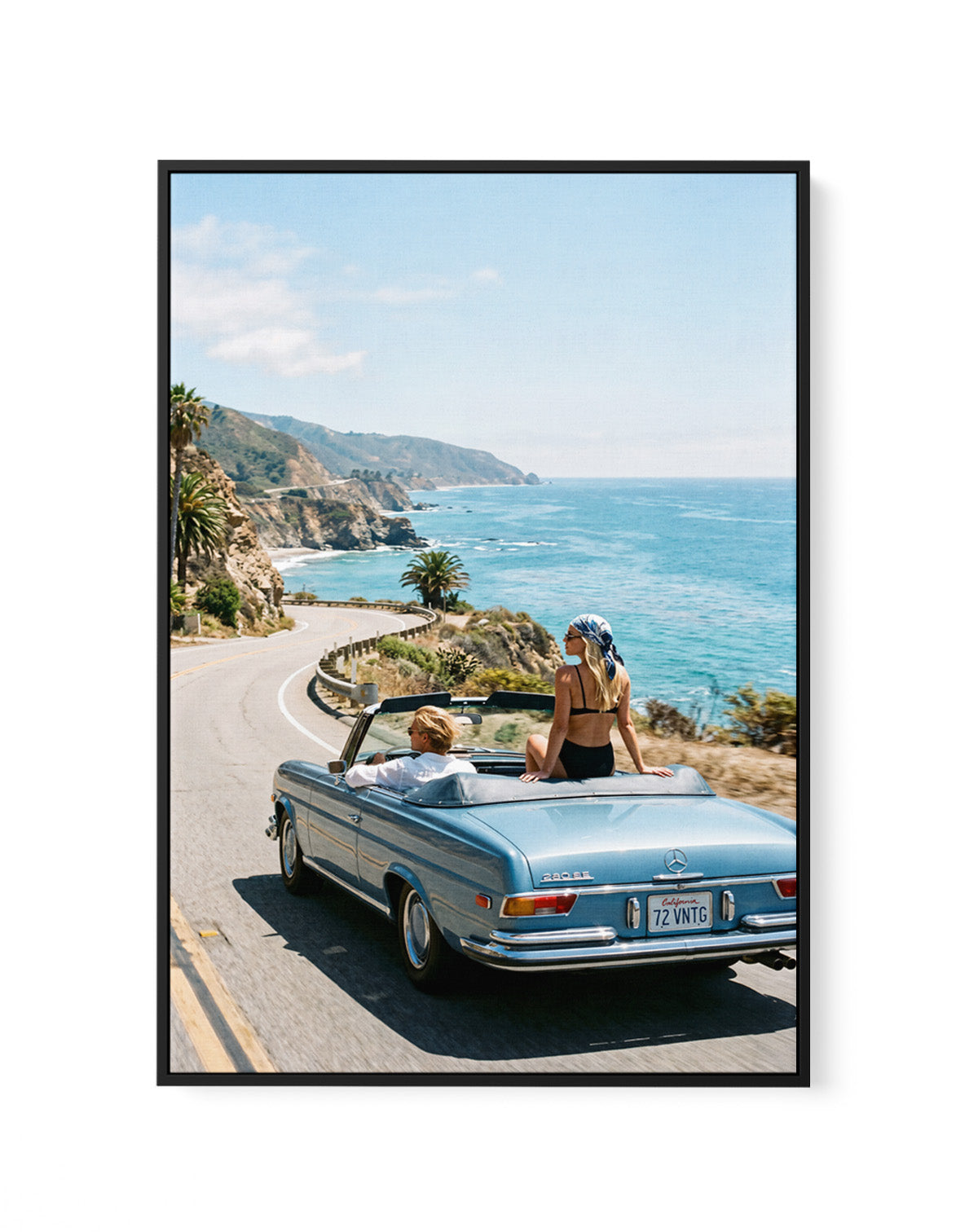 Salt & Chrome I | Framed Canvas Art Print