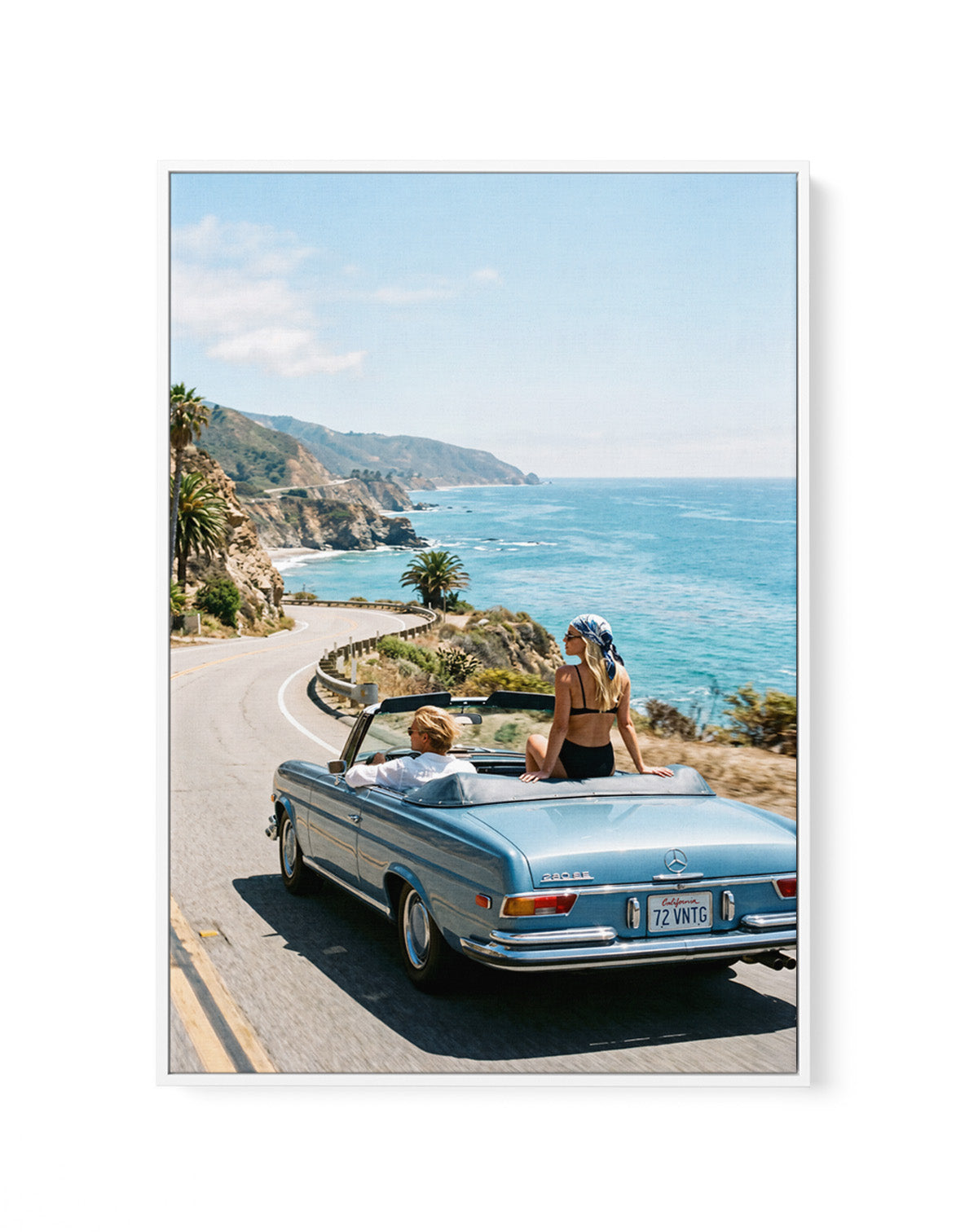 Salt & Chrome I | Framed Canvas Art Print
