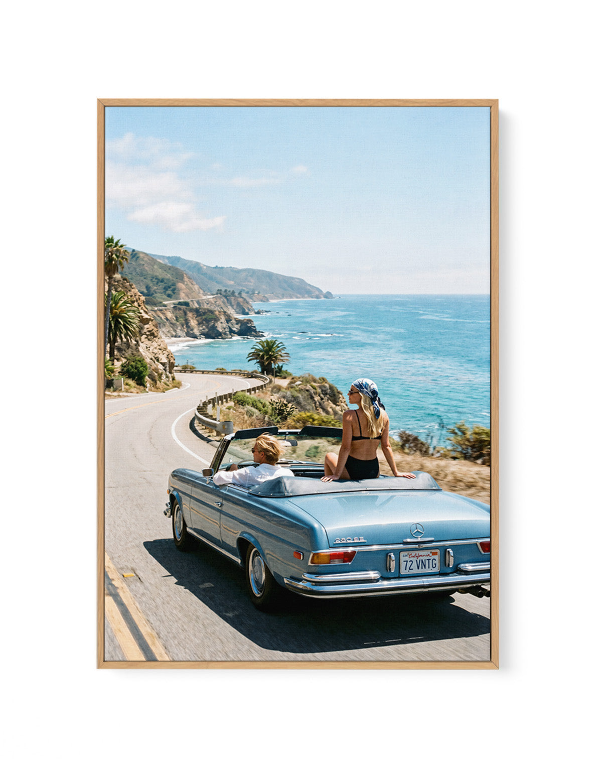 Salt & Chrome I | Framed Canvas Art Print