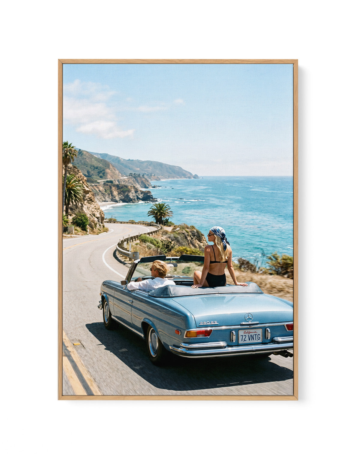 Salt & Chrome I | Framed Canvas Art Print