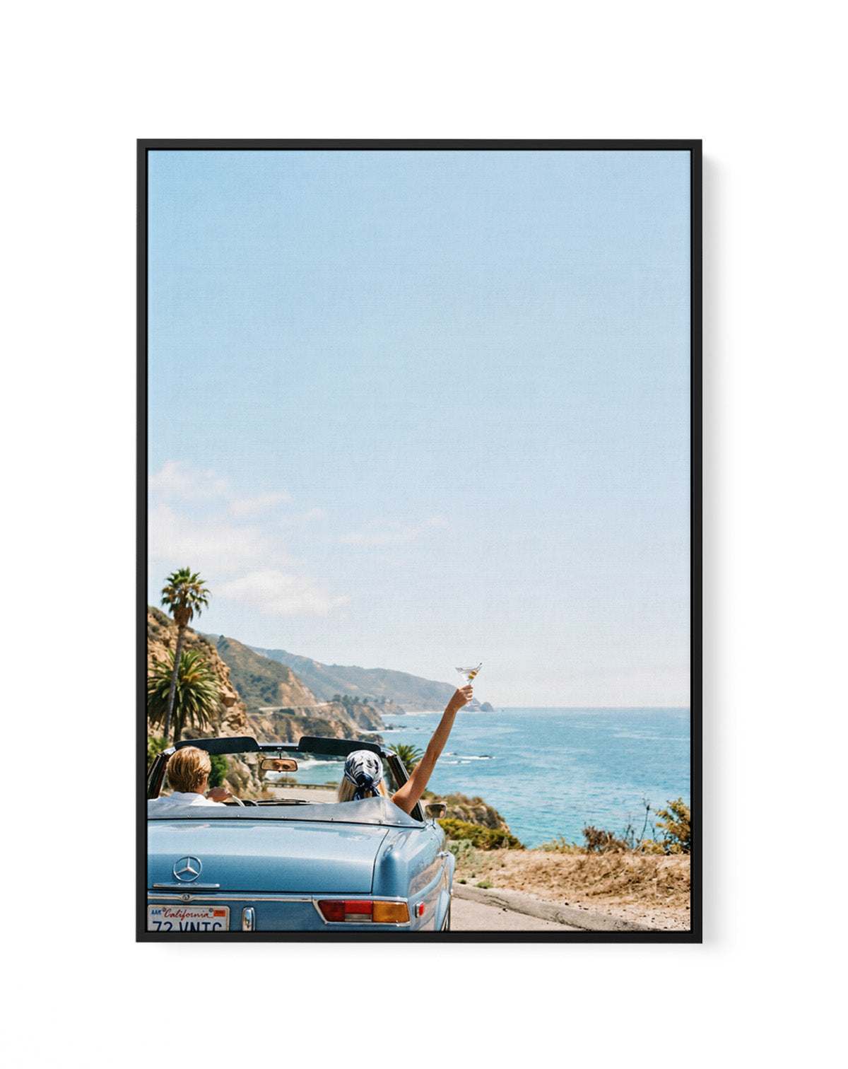 Salt & Chrome II | Framed Canvas Art Print