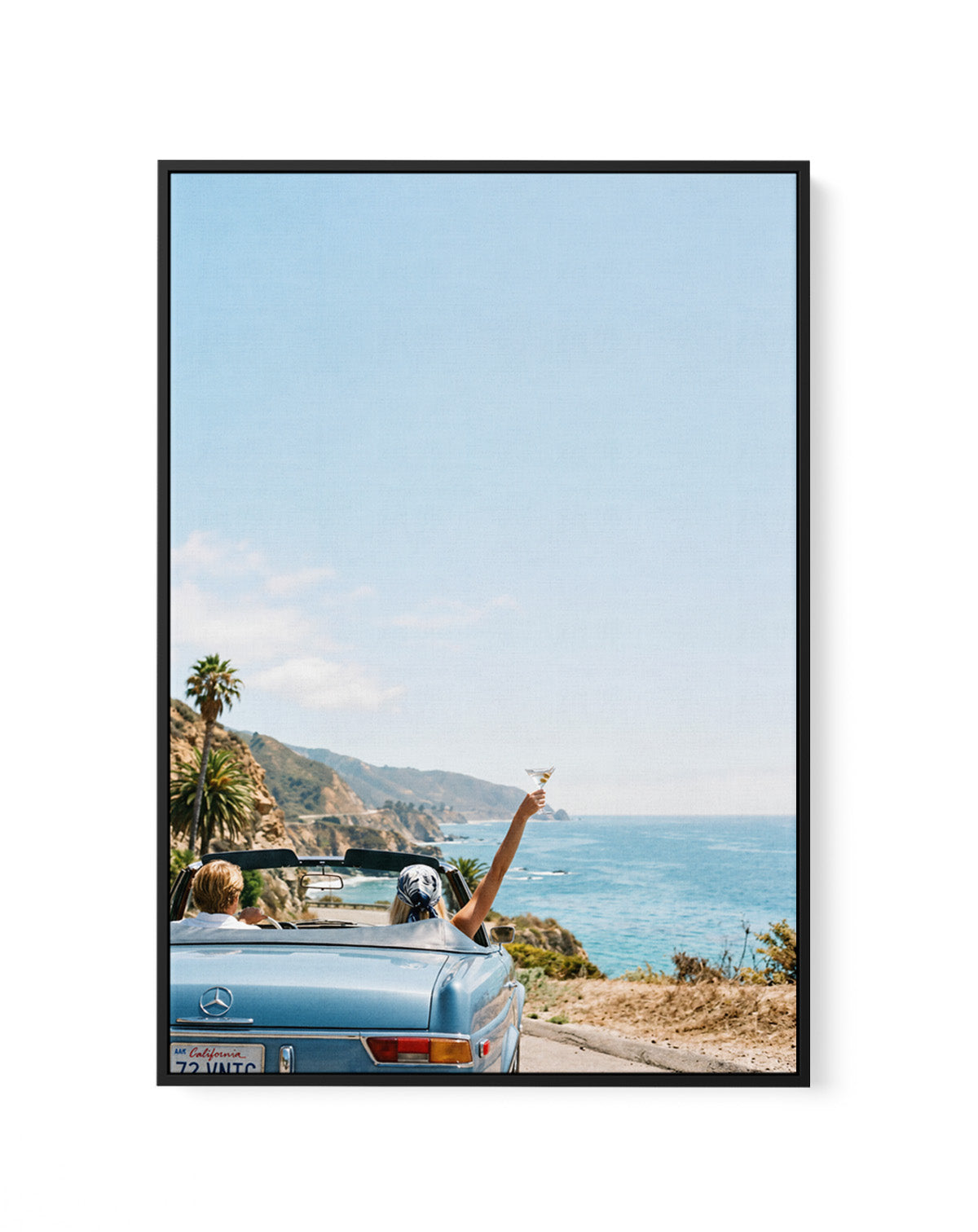 Salt & Chrome II | Framed Canvas Art Print