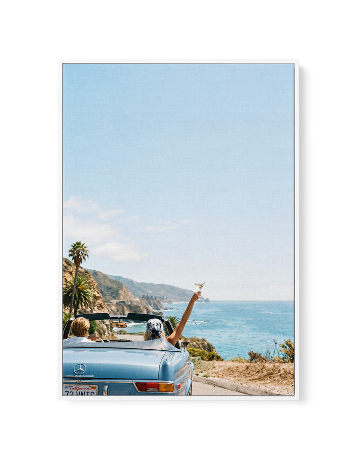 Salt & Chrome II | Framed Canvas Art Print