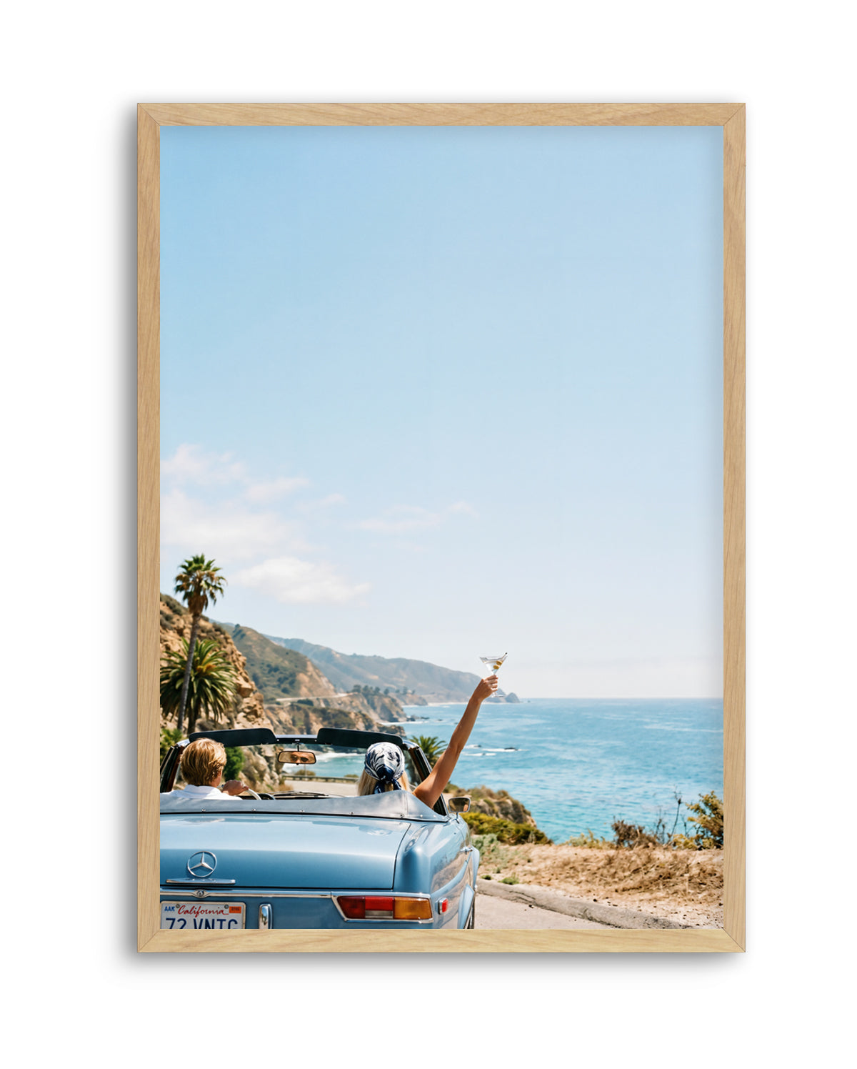 Salt & Chrome II | Art Print