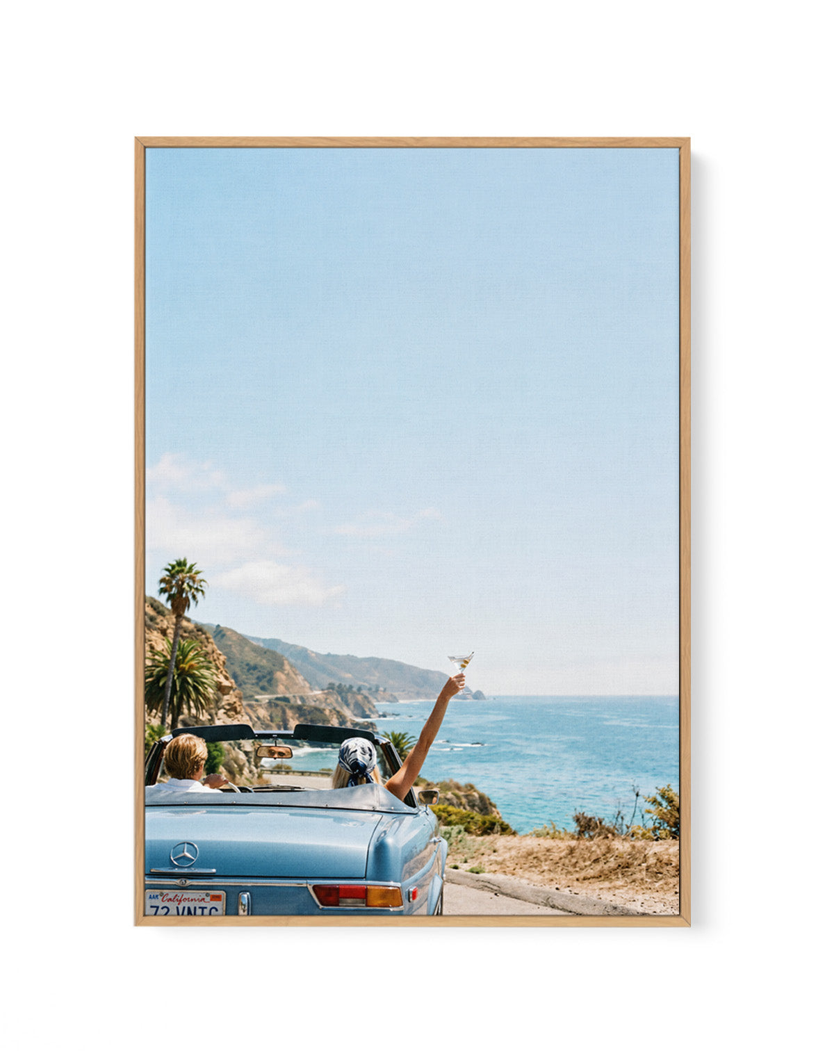 Salt & Chrome II | Framed Canvas Art Print