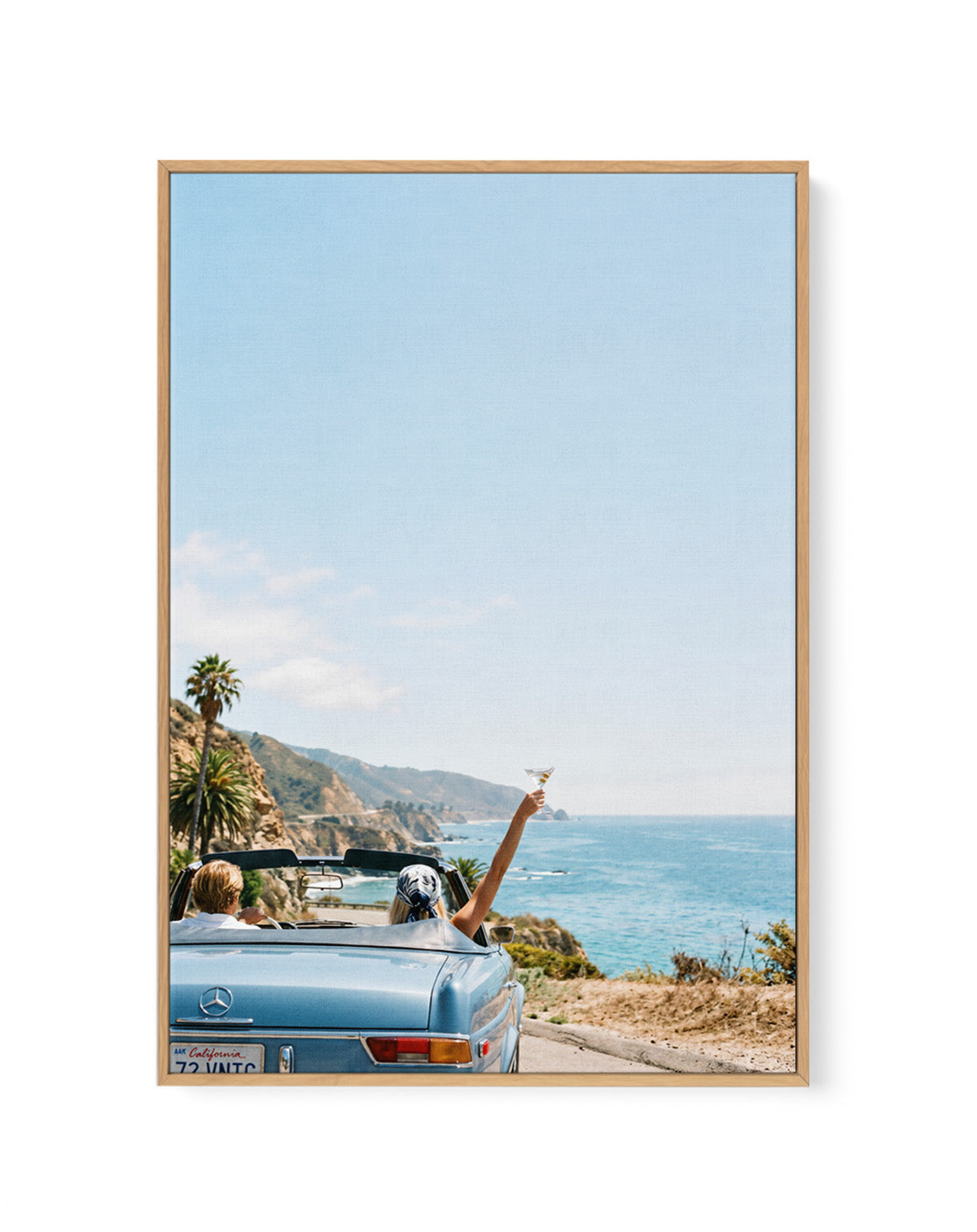 Salt & Chrome II | Framed Canvas Art Print