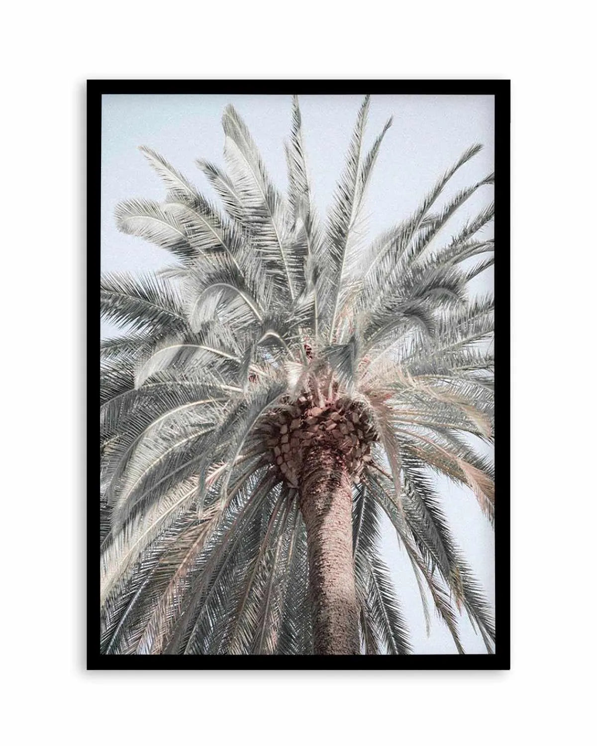 Santa Monica Palm Tree Art Print | PT from Olive et Oriel where you can shop wallpaper and artworks online