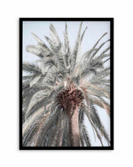 Santa Monica Palm Tree Art Print | PT