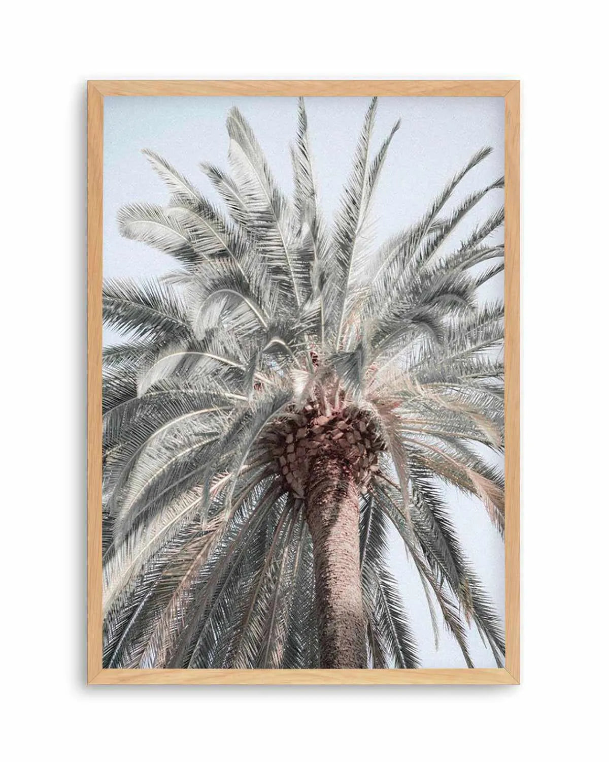 Santa Monica Palm Tree Art Print | PT from Olive et Oriel where you can shop wallpaper and artworks online
