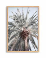 Santa Monica Palm Tree Art Print | PT