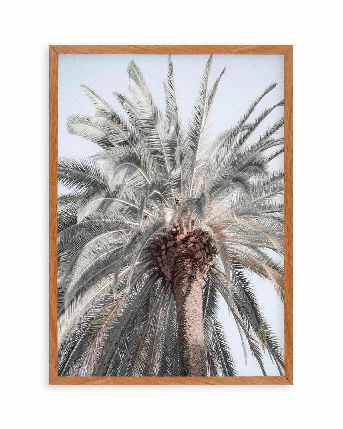 Santa Monica Palm Tree Art Print | PT from Olive et Oriel where you can shop wallpaper and artworks online