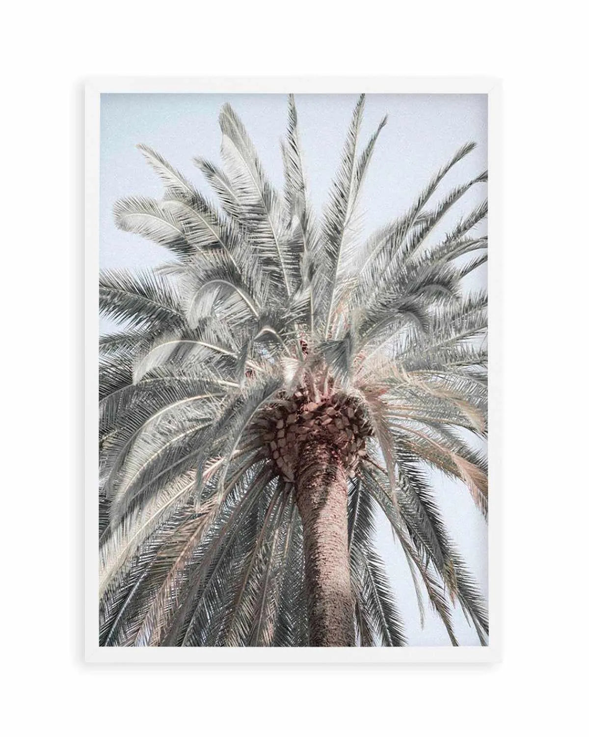 Santa Monica Palm Tree Art Print | PT from Olive et Oriel where you can shop wallpaper and artworks online