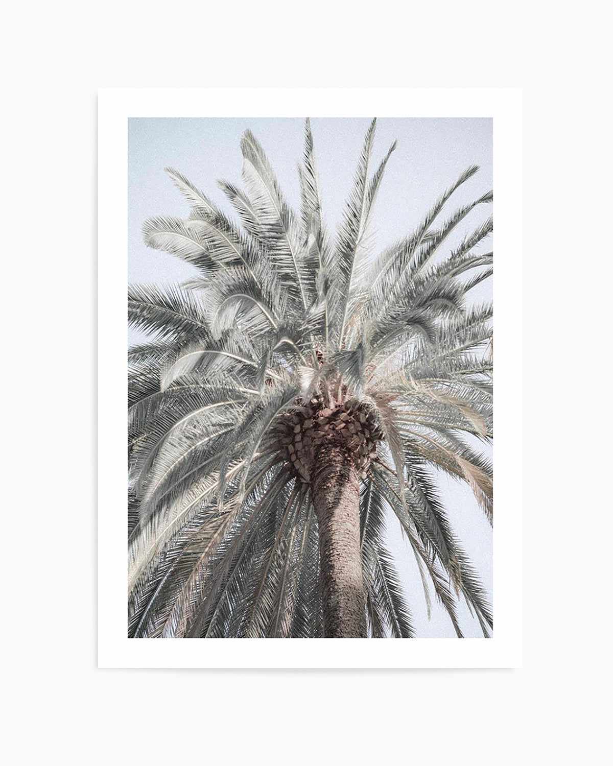 Santa Monica Palm Tree Art Print | PT