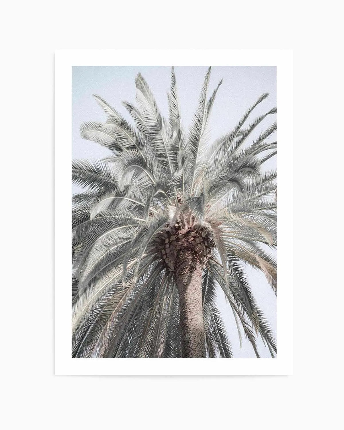 Santa Monica Palm Tree Art Print | PT from Olive et Oriel where you can shop wallpaper and artworks online