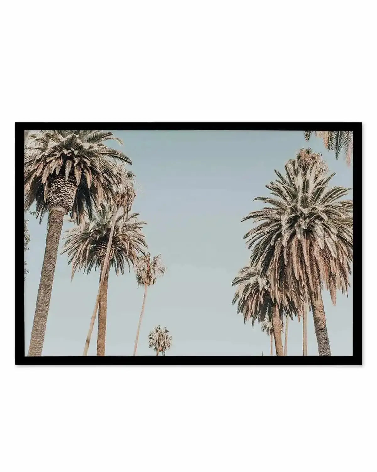 Santa Monica Palms | LS Art Print from Olive et Oriel where you can shop wallpaper and artworks online