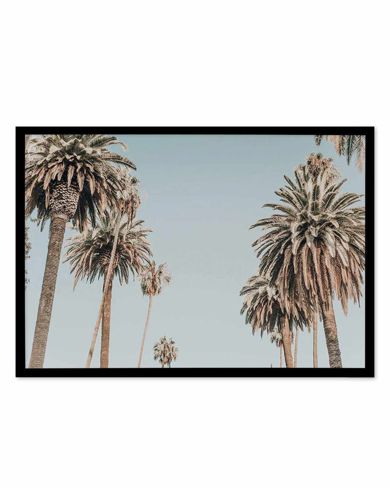 Santa Monica Palms | LS Art Print