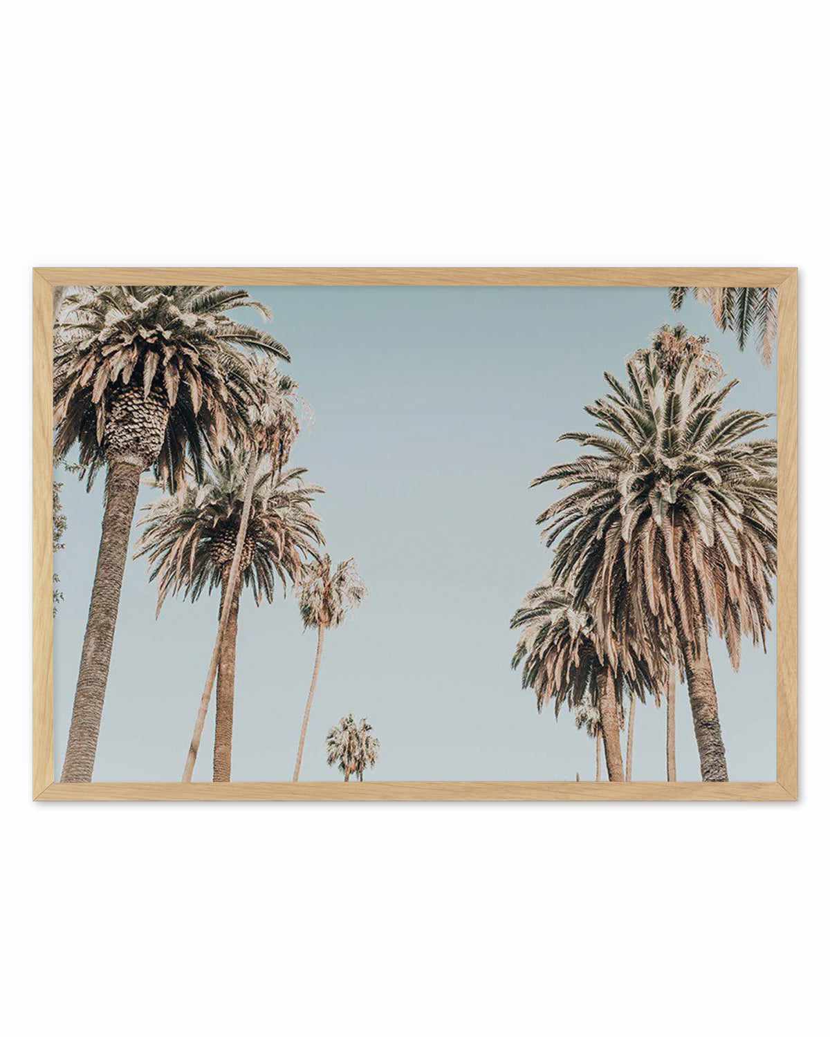 Santa Monica Palms | LS Art Print