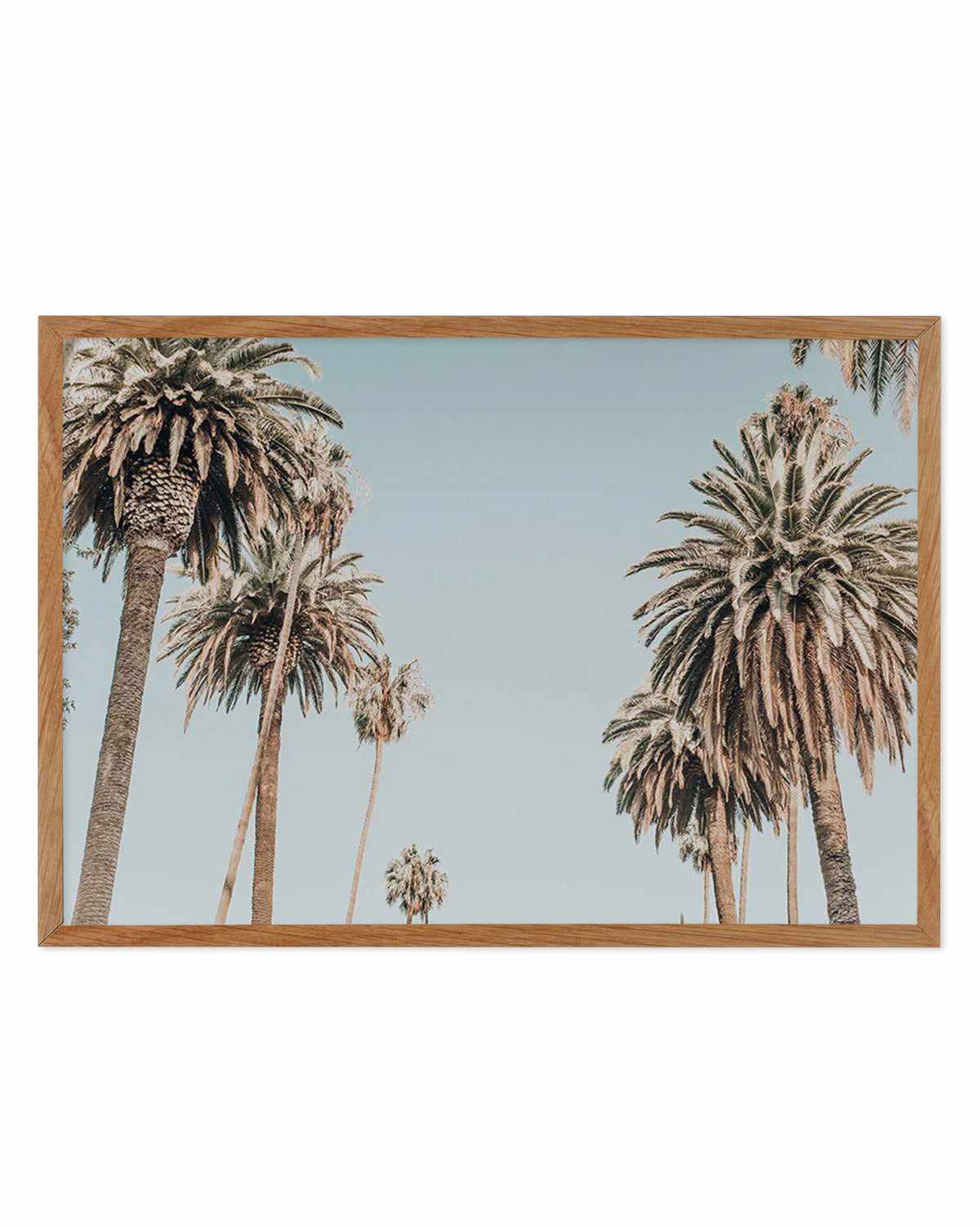 Santa Monica Palms | LS Art Print