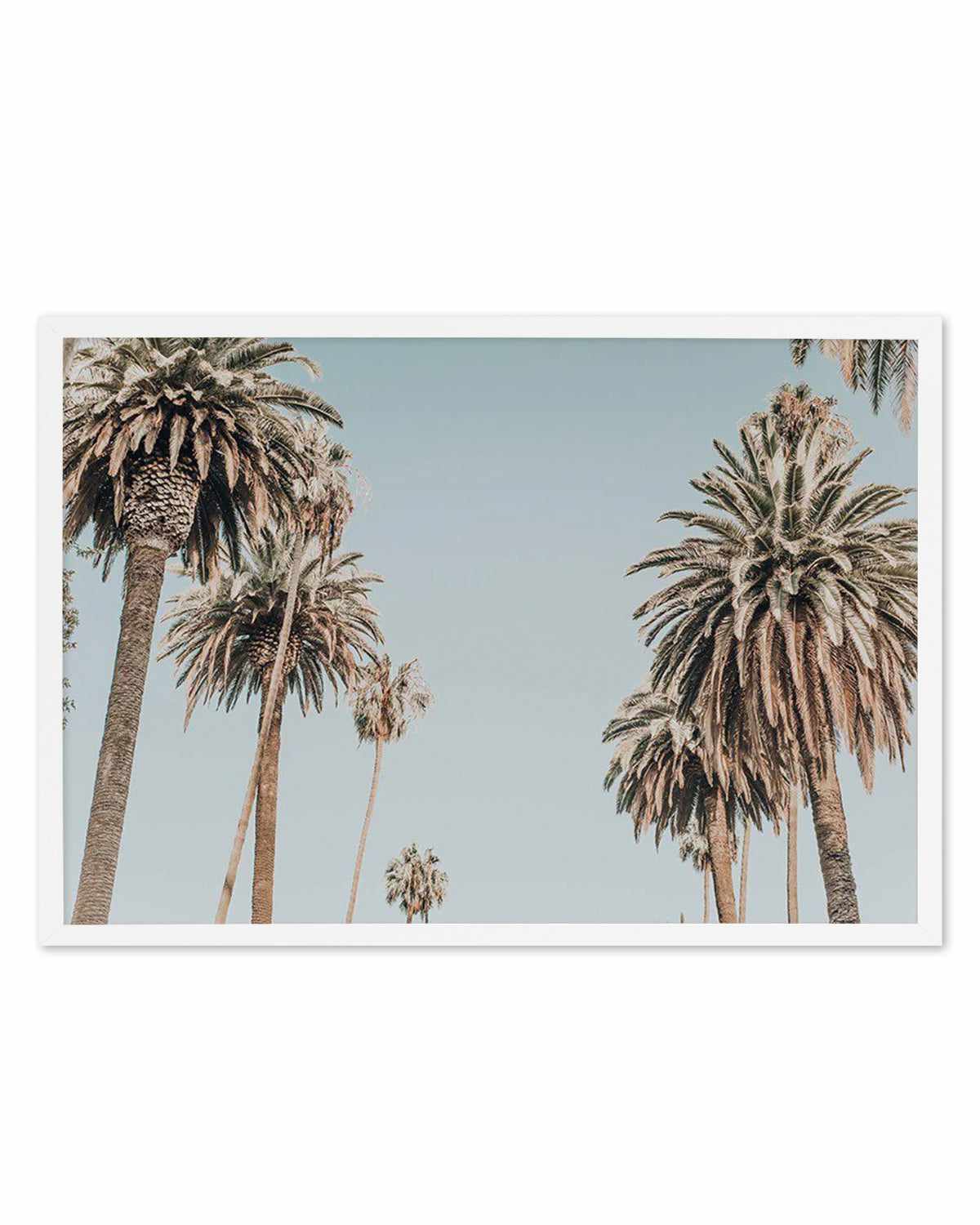 Santa Monica Palms | LS Art Print