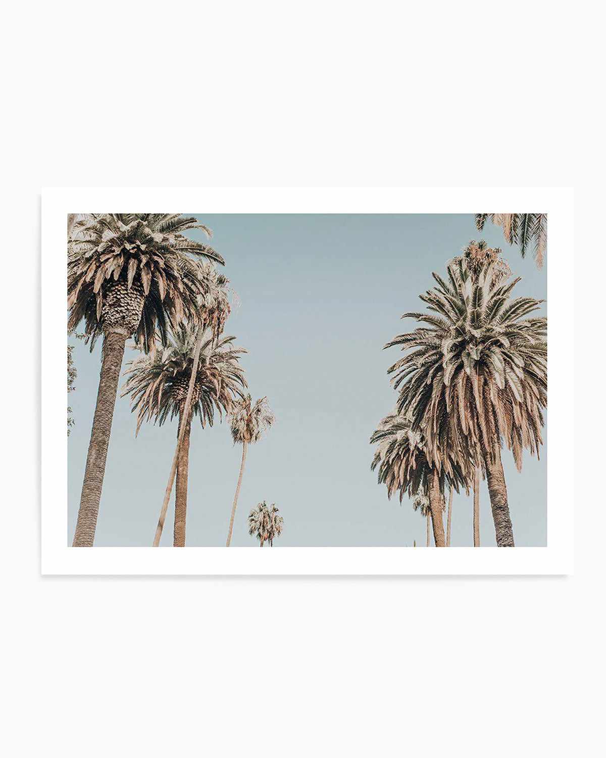 Santa Monica Palms | LS Art Print