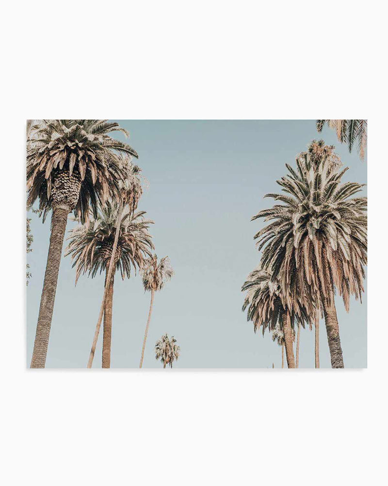 Santa Monica Palms | LS Art Print