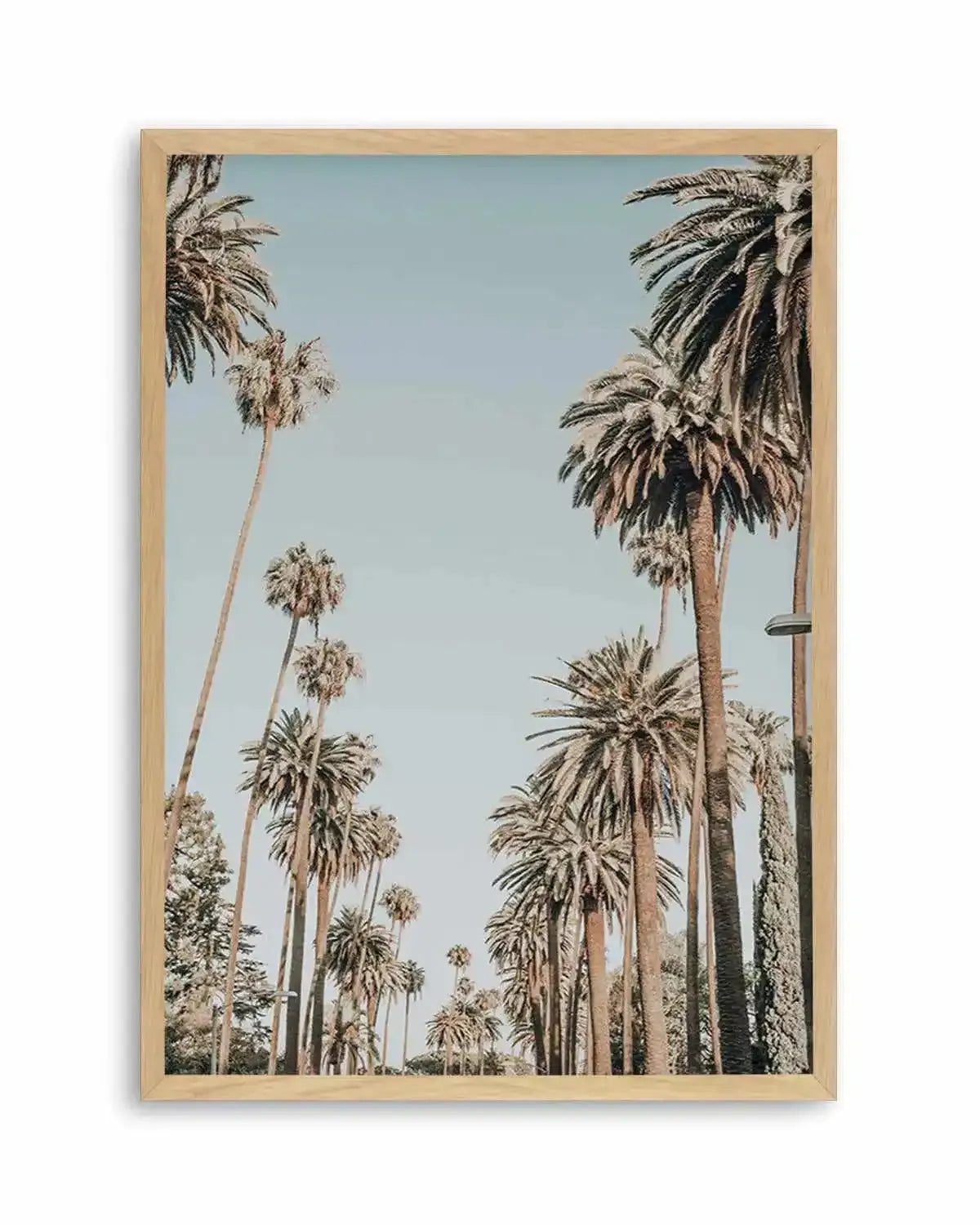 Santa Monica Palms | PT Art Print from Olive et Oriel where you can shop wallpaper and artworks online