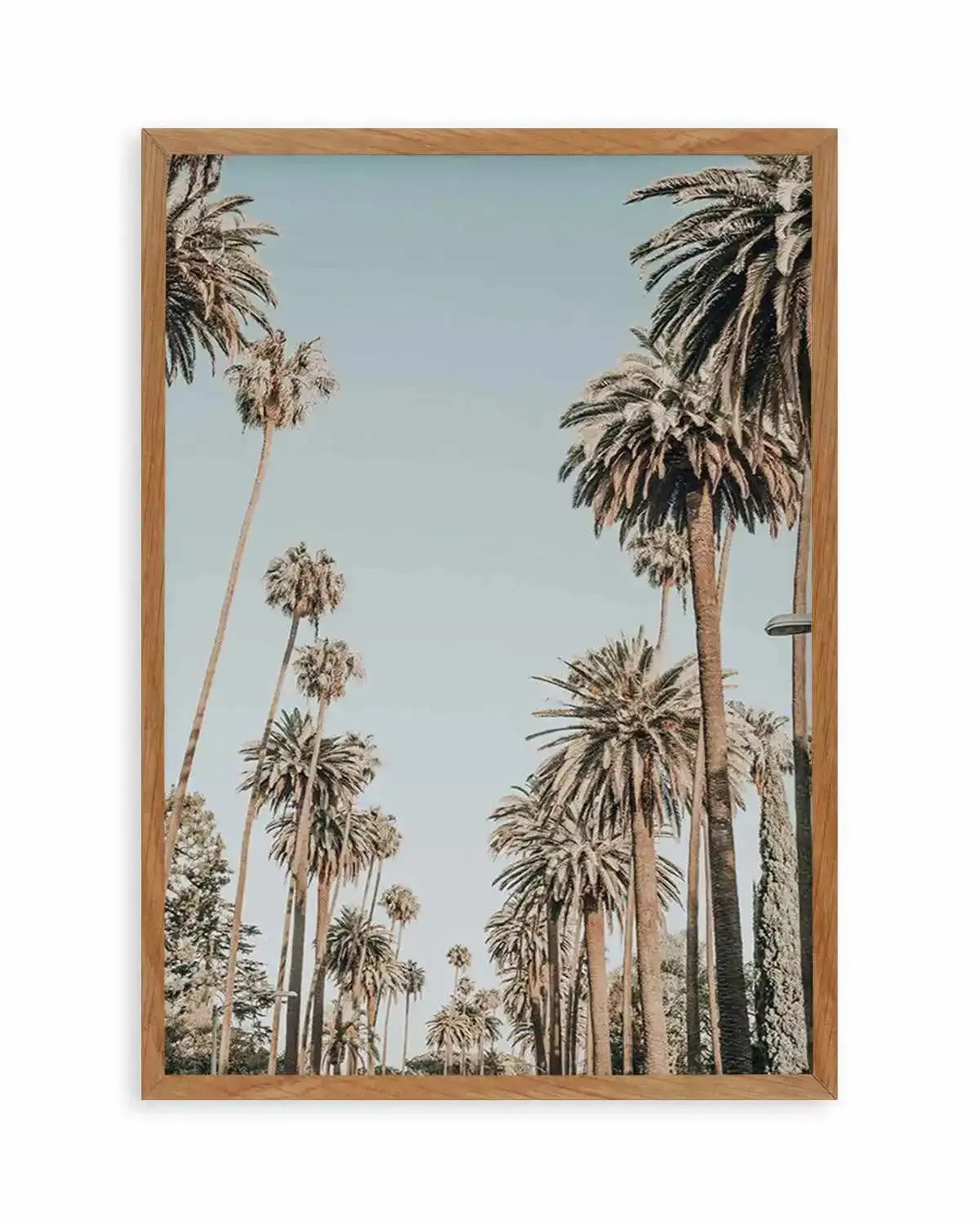 Santa Monica Palms | PT Art Print from Olive et Oriel where you can shop wallpaper and artworks online