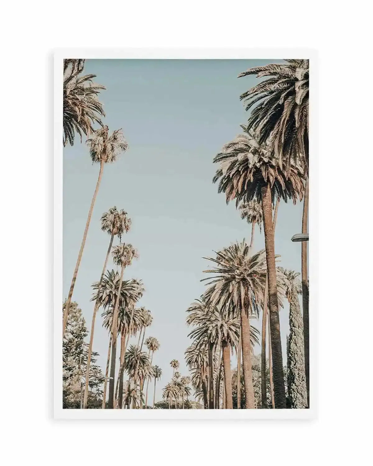 Santa Monica Palms | PT Art Print from Olive et Oriel where you can shop wallpaper and artworks online