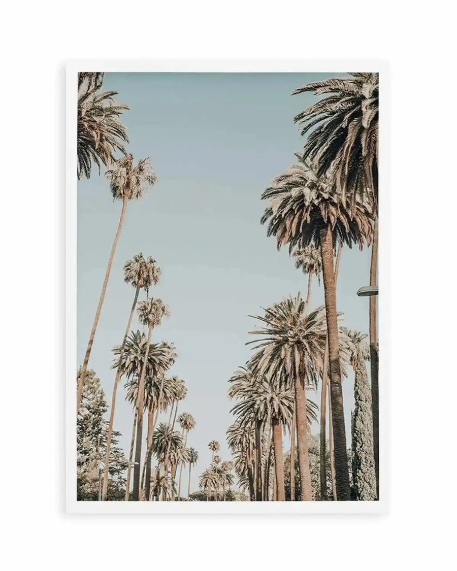 Santa Monica Palms | PT Art Print from Olive et Oriel where you can shop wallpaper and artworks online
