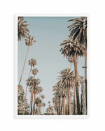 Santa Monica Palms | PT Art Print