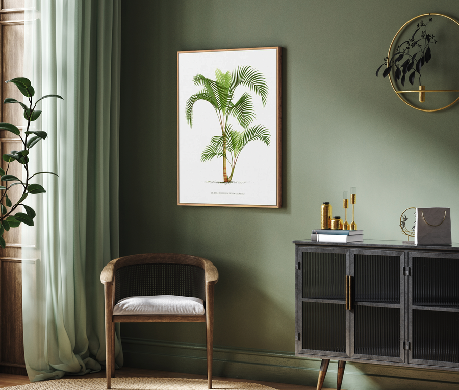 Hyophorbe Indica Vintage Palm Poster | Framed Canvas Art Print from Olive et Oriel where you can shop wallpaper and artworks online
